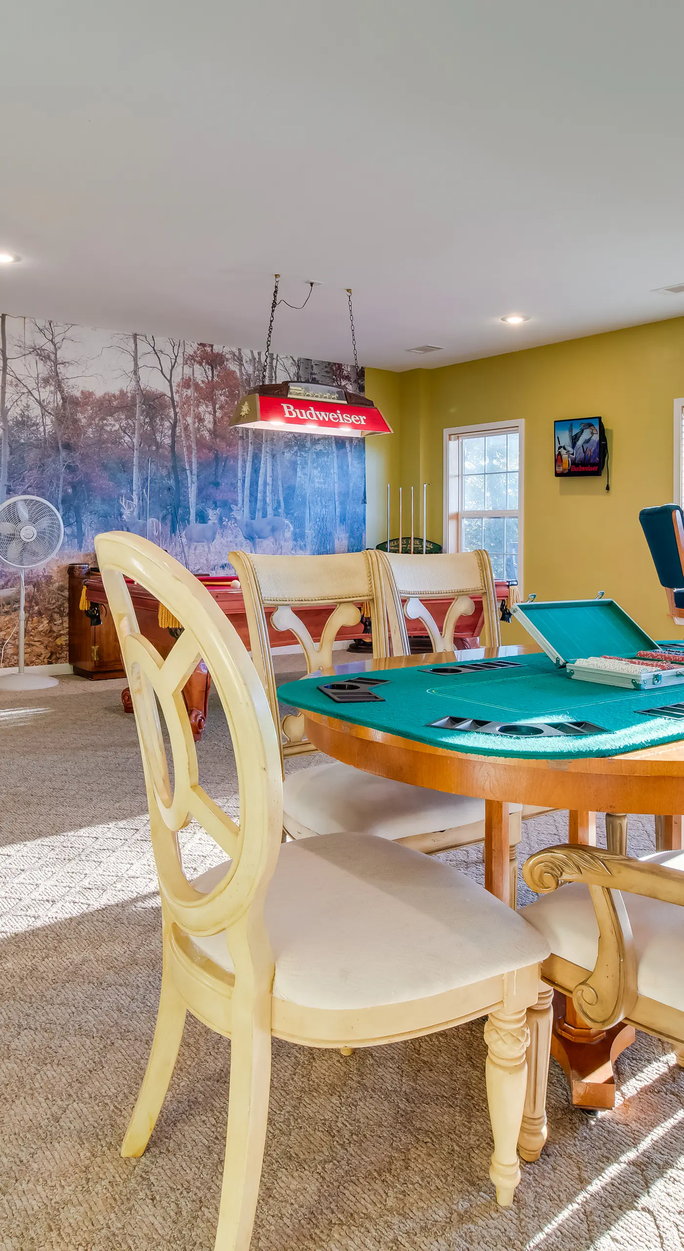 Norfork Lake Home: Game Room, Fire Pit + Views!
