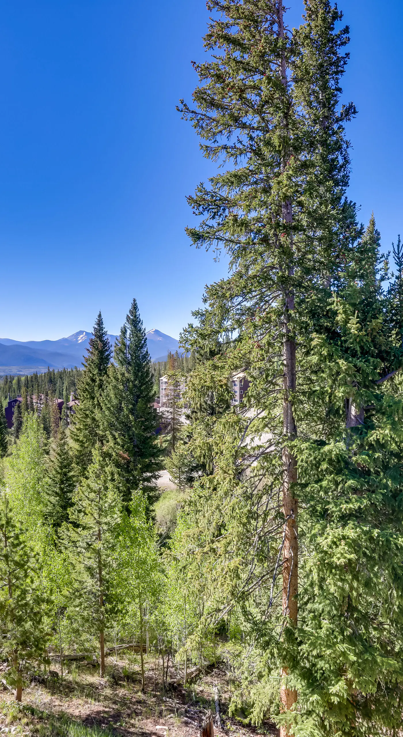 10 Mi to Keystone Slopes: Mtn-View Condo!