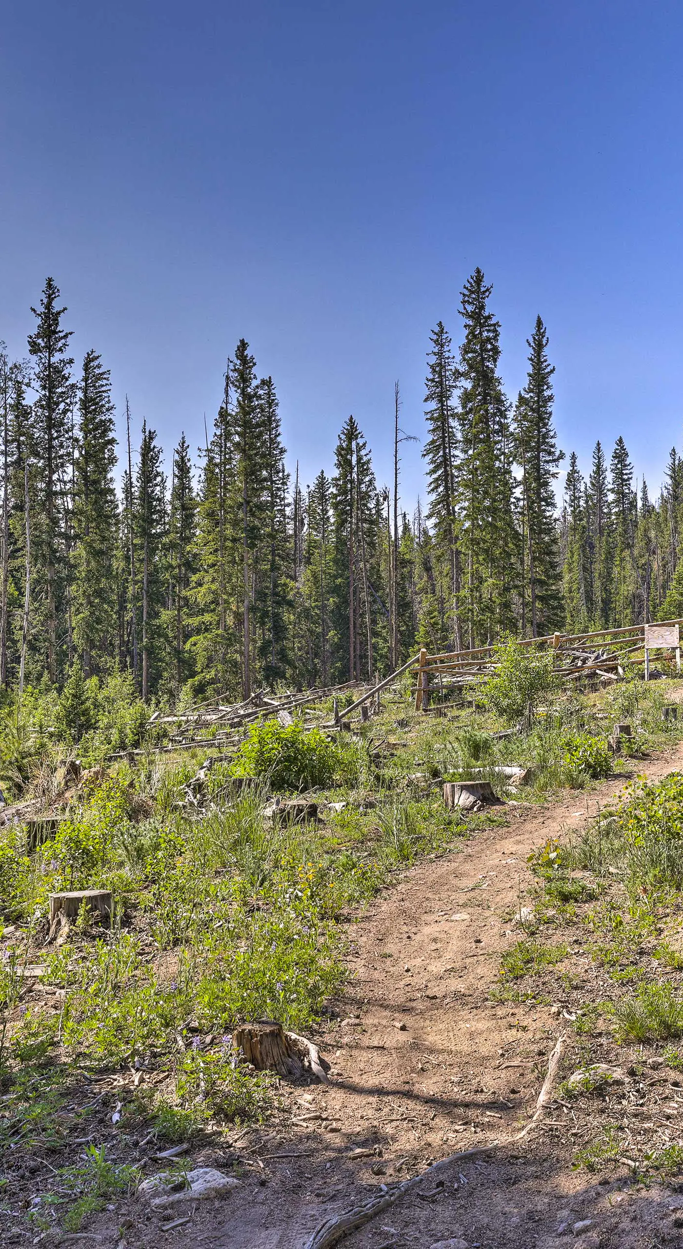 Silverthorne Condo w/ Views ~ 11 Mi to Ski Slopes