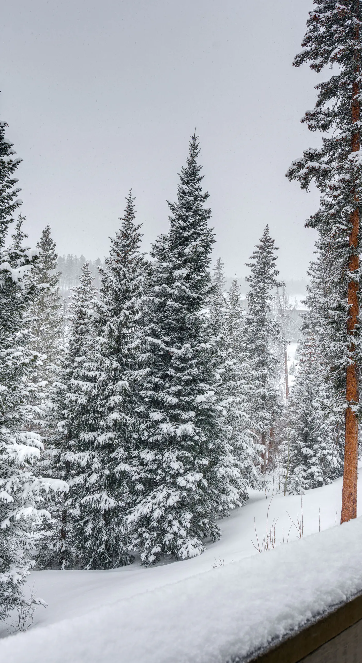 Silverthorne Gem w/ Community Perks: 11 Mi to Ski!