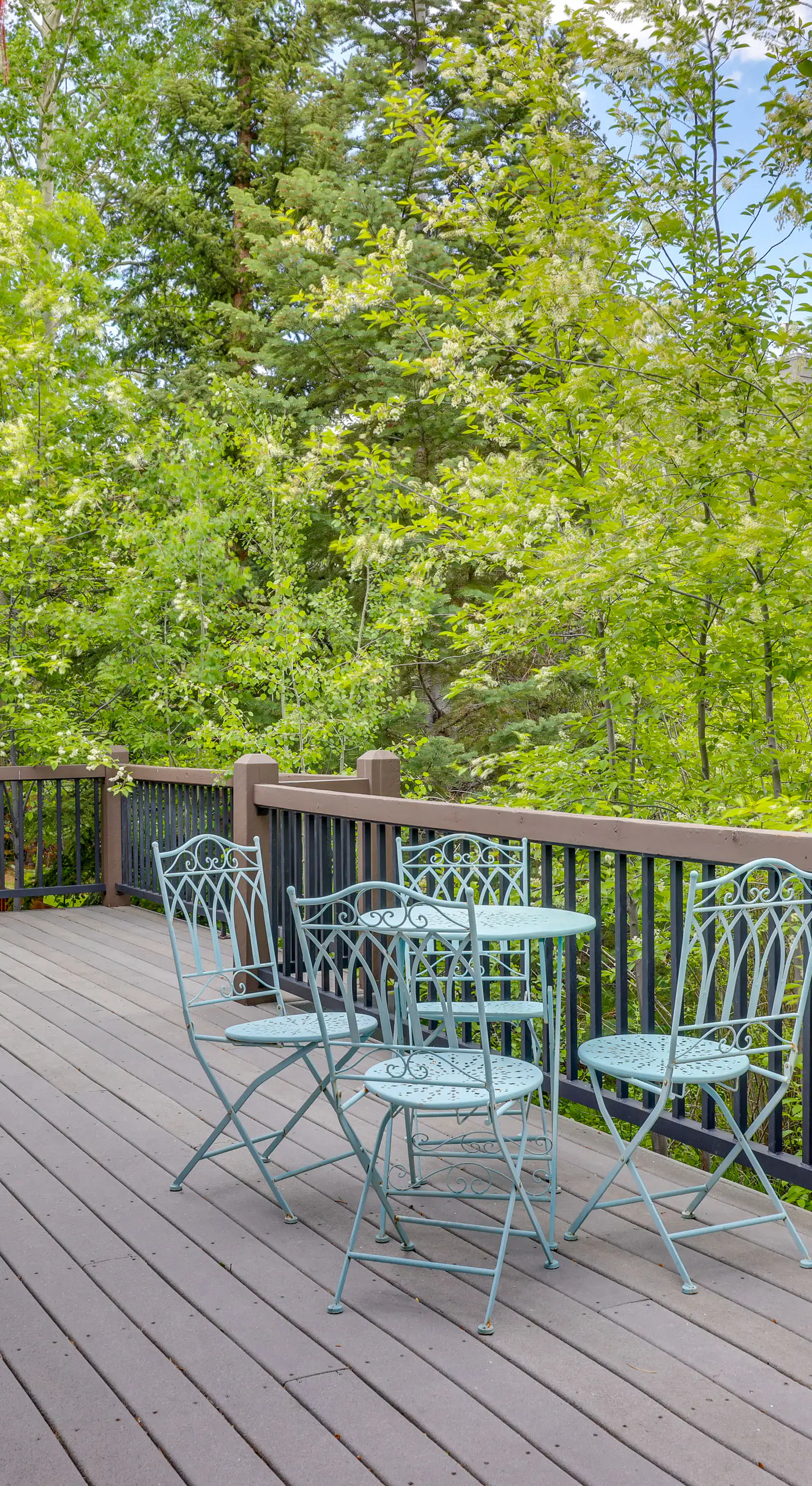 Frisco River Gem Close to Slopes, Trails & Main St