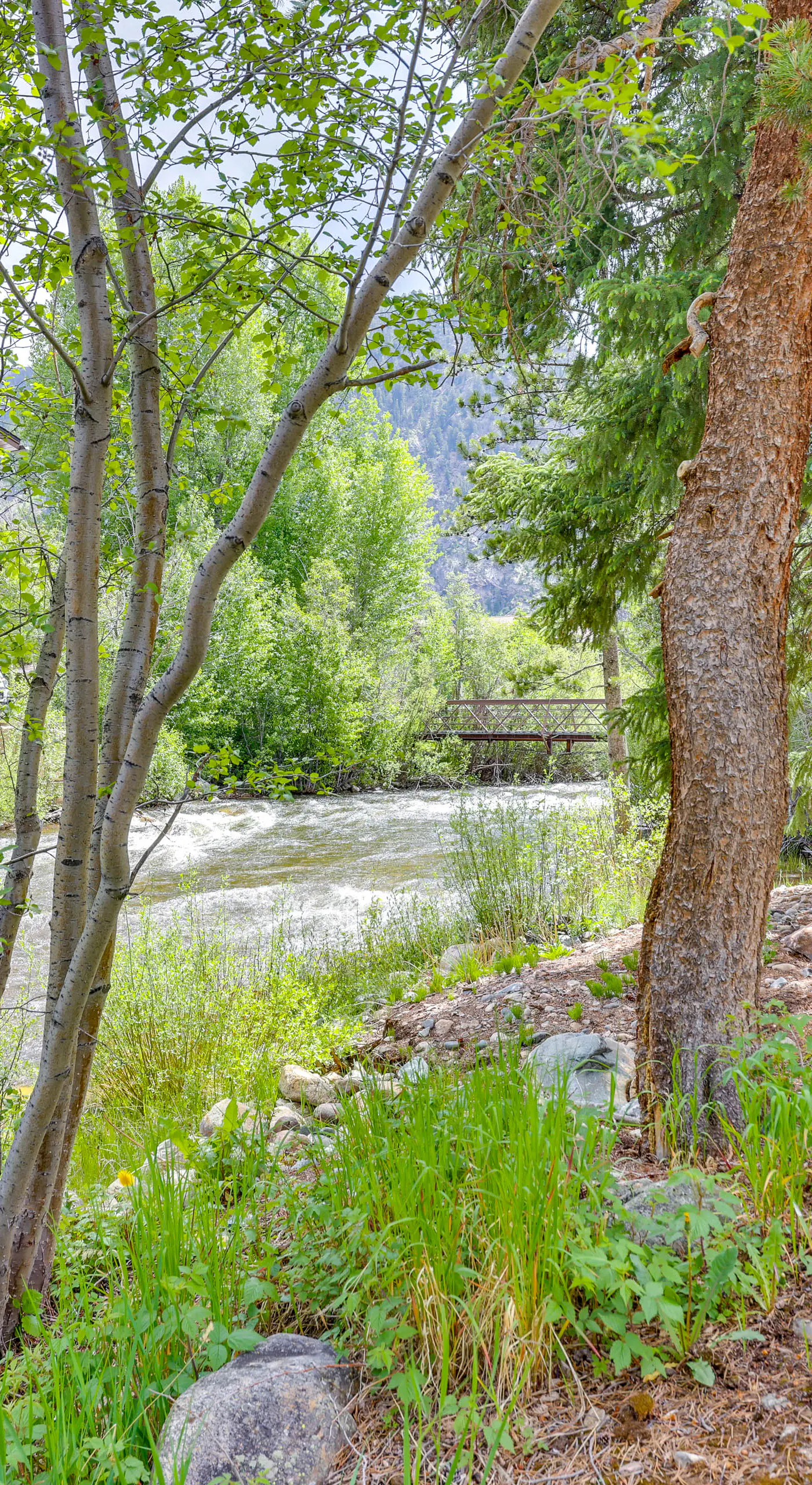 Frisco River Gem Close to Slopes, Trails & Main St