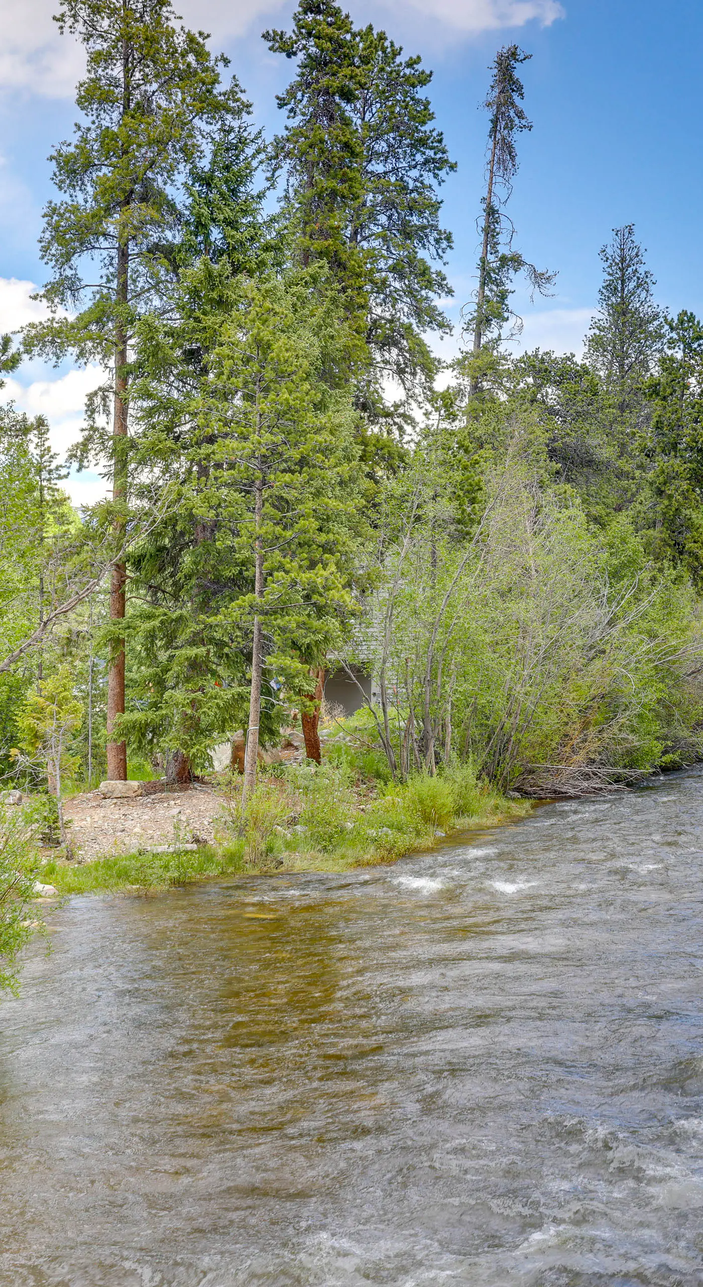 Frisco River Gem Close to Slopes, Trails & Main St