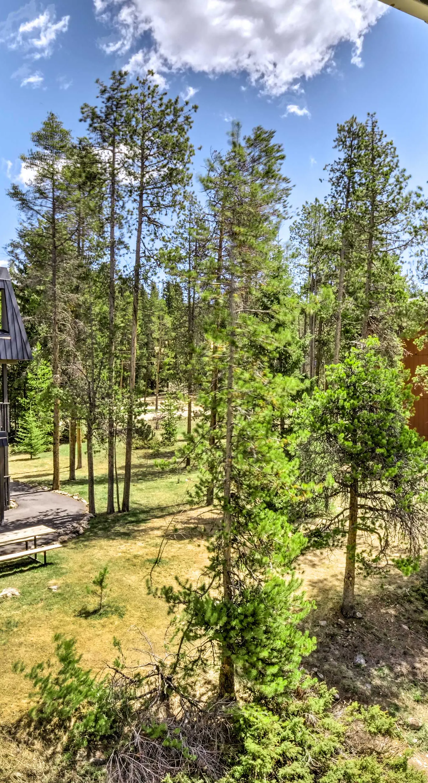 Winter Park Studio Condo - 5 Mins to Downtown!