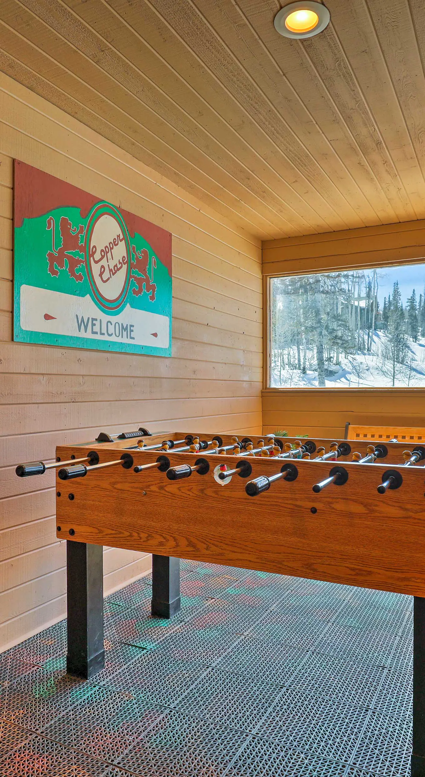 Ski-In/Ski-Out Brian Head Studio