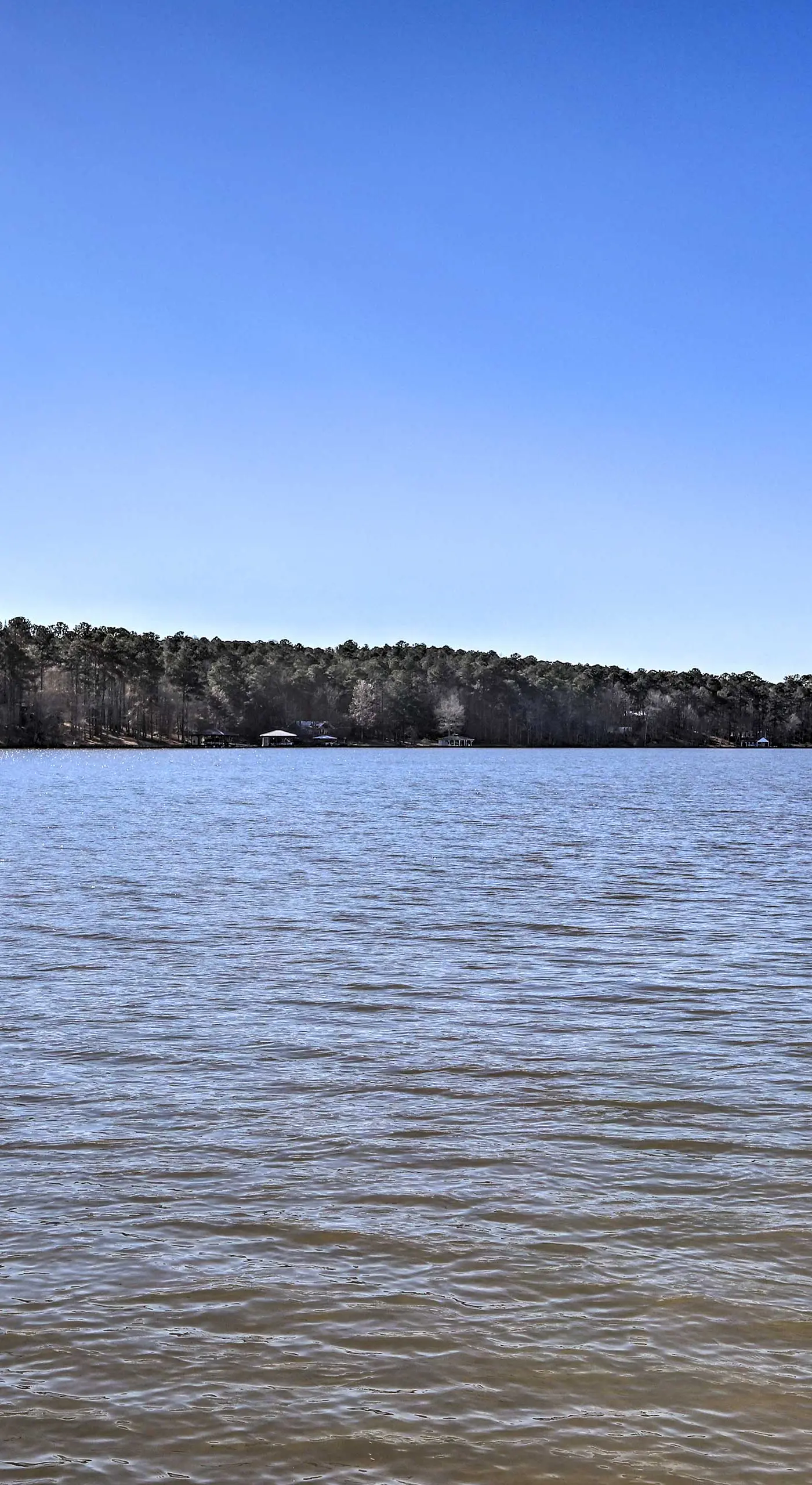 Pet-Friendly Lake Sinclair Home w/ Boat Dock!