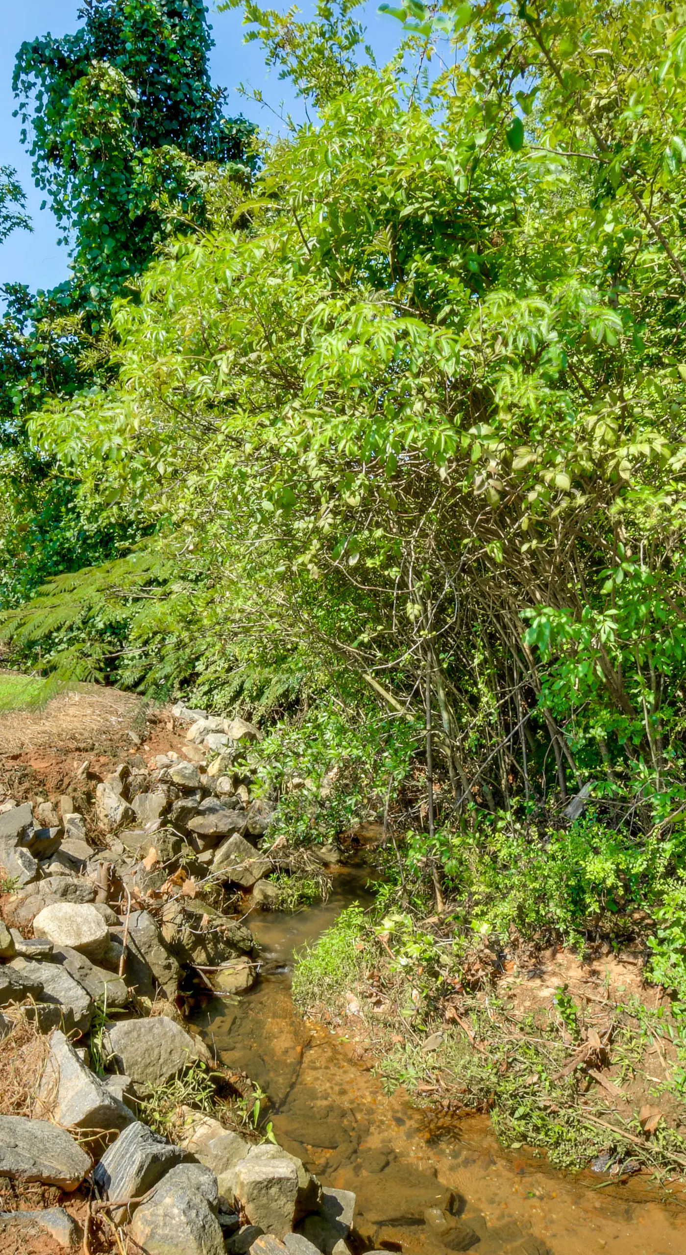 8 Mi to Clemson: Peaceful Family Home w/ Yard