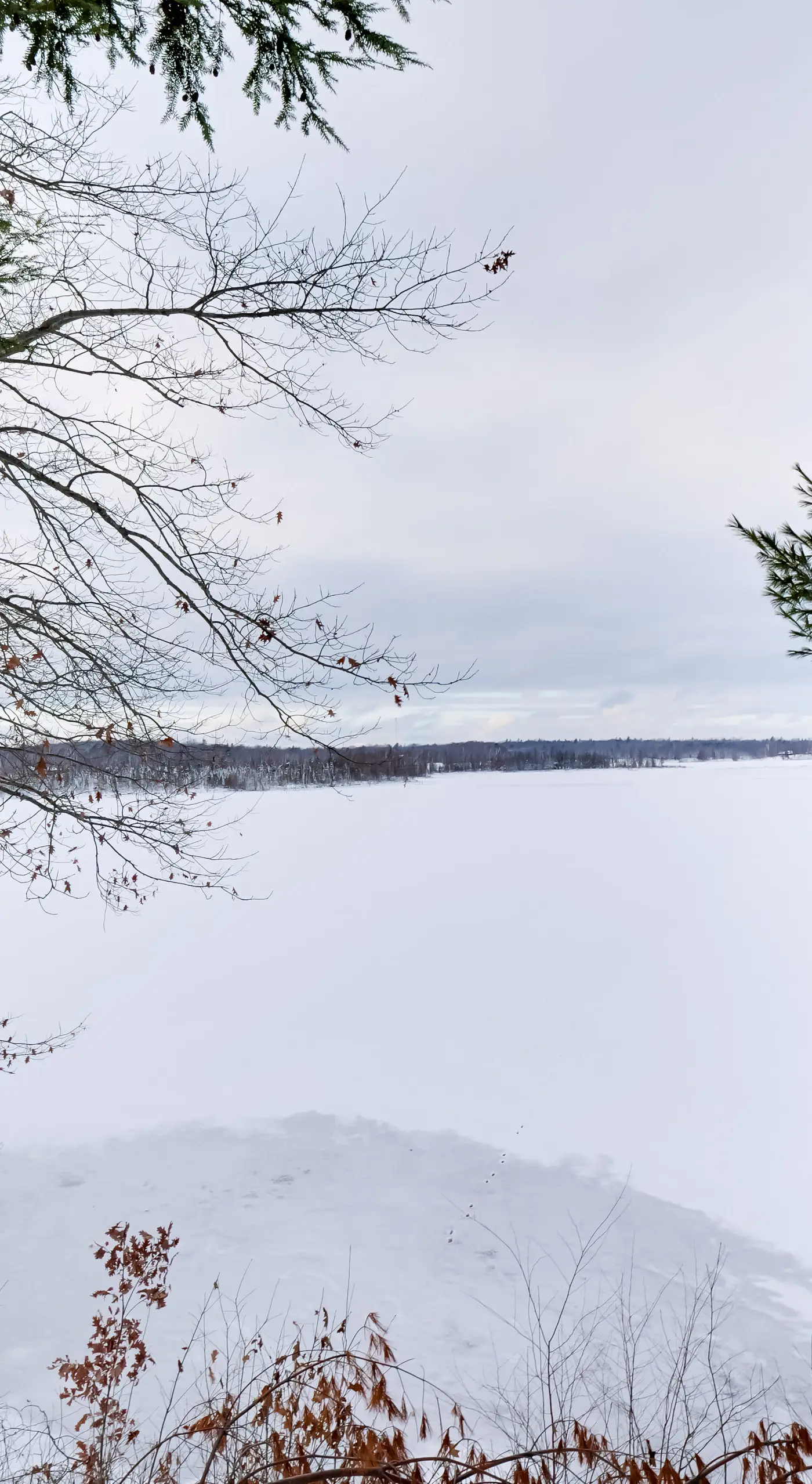 Lake Access w/ Dock! Hayward Cabin Hideaway