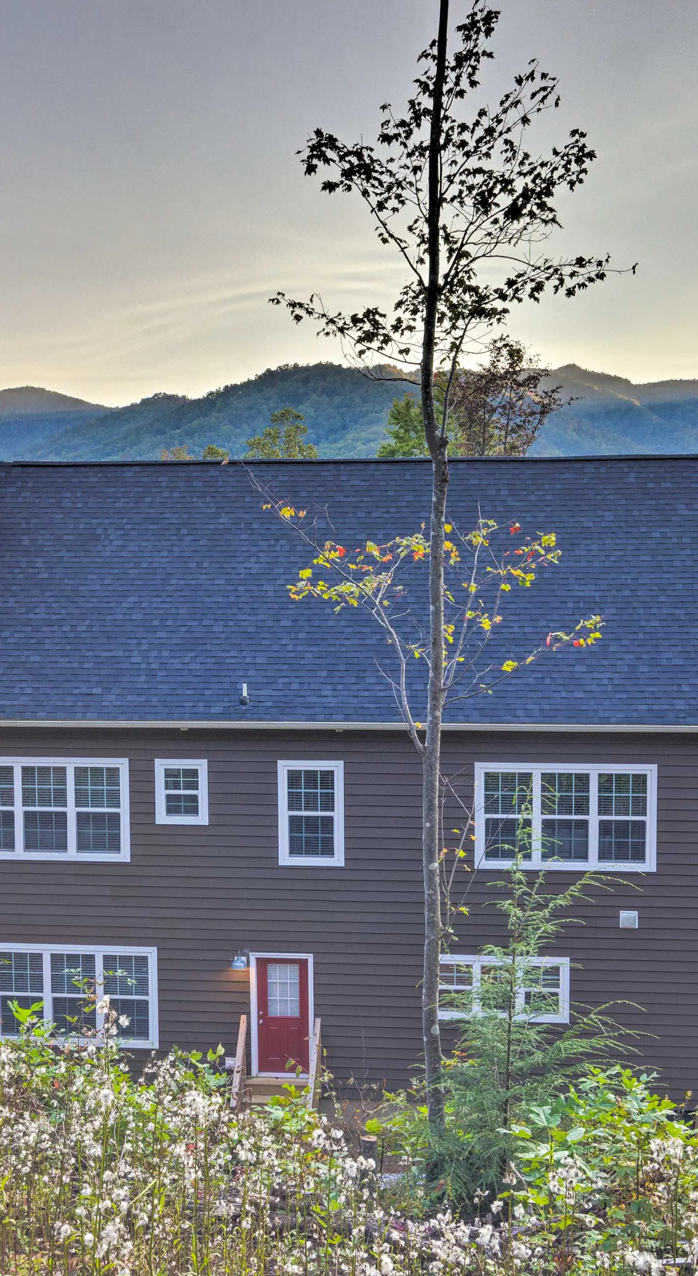 Family Holiday Retreat! Mtn-View Blue Ridge Home