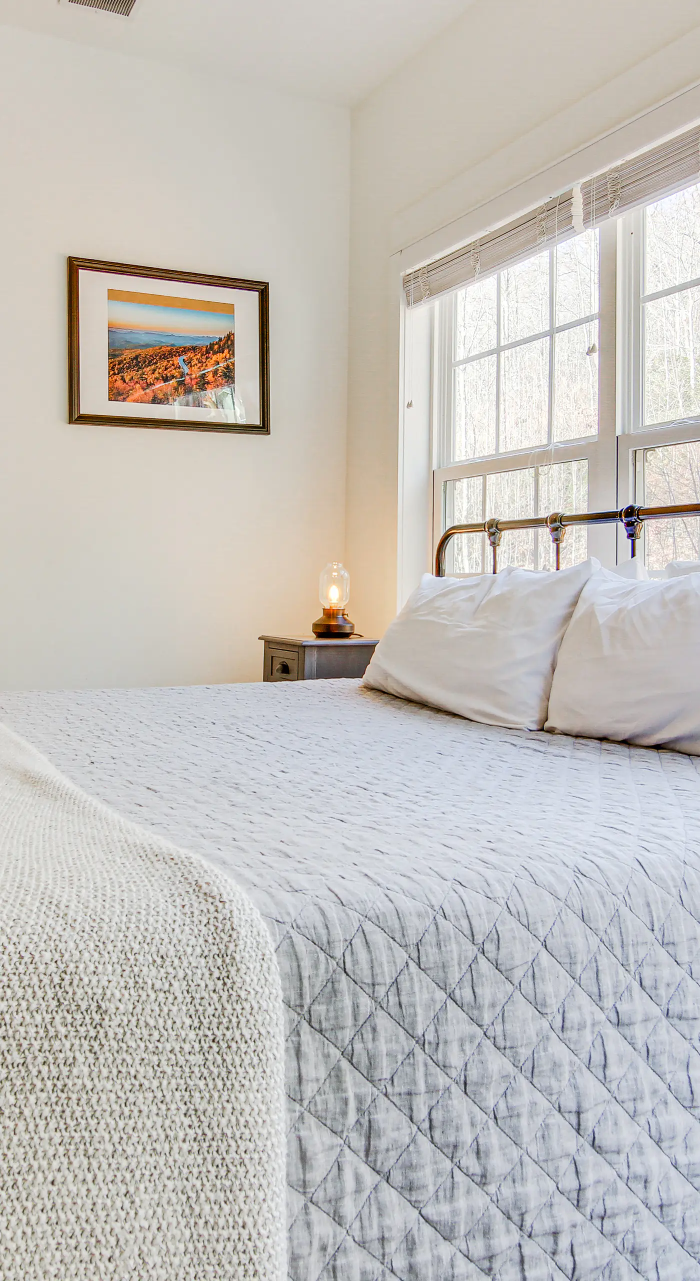 Family Holiday Retreat! Mtn-View Blue Ridge Home