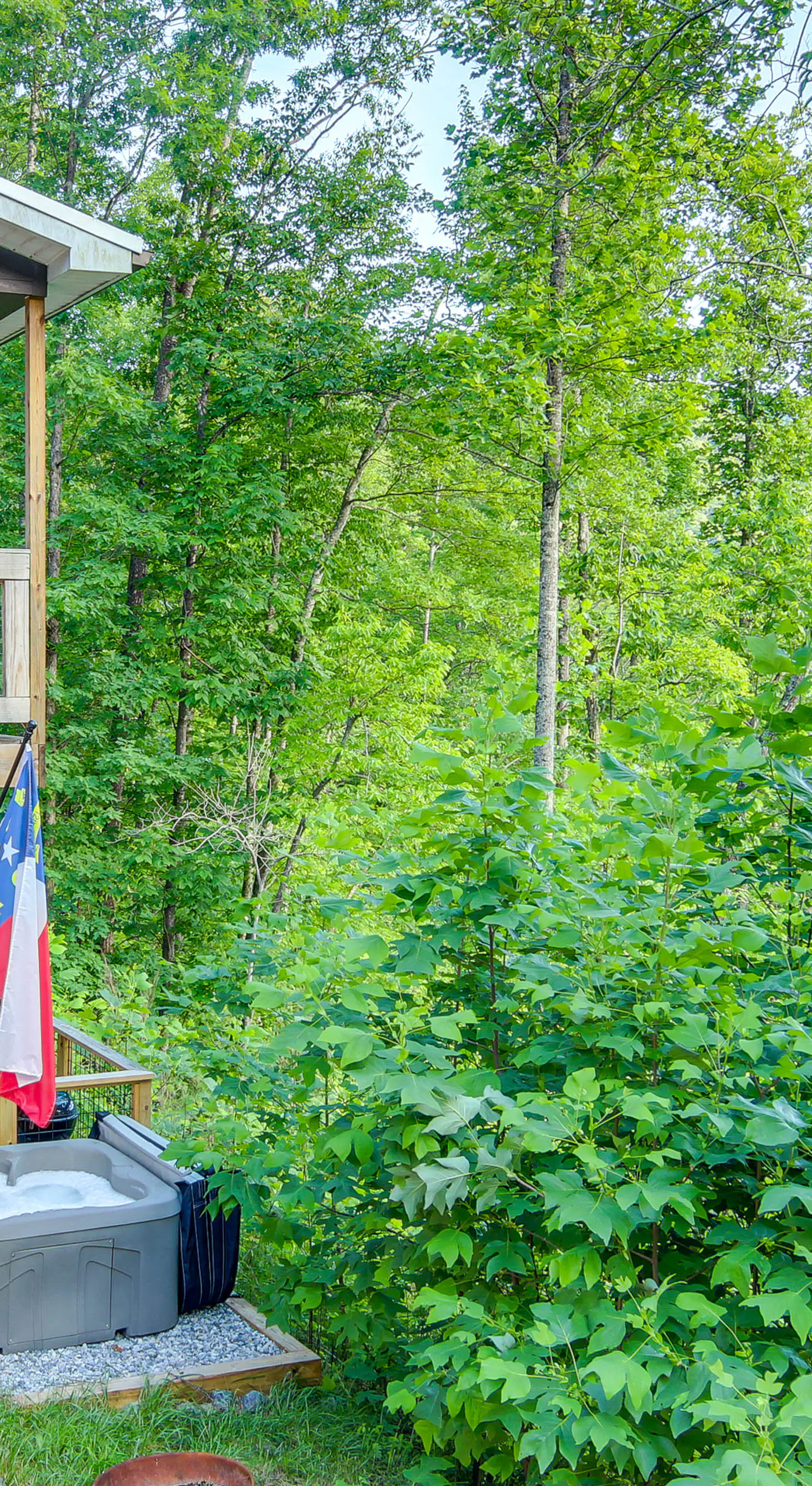 Panoramic Mtn Views & Hot Tub! Secluded Marion Gem