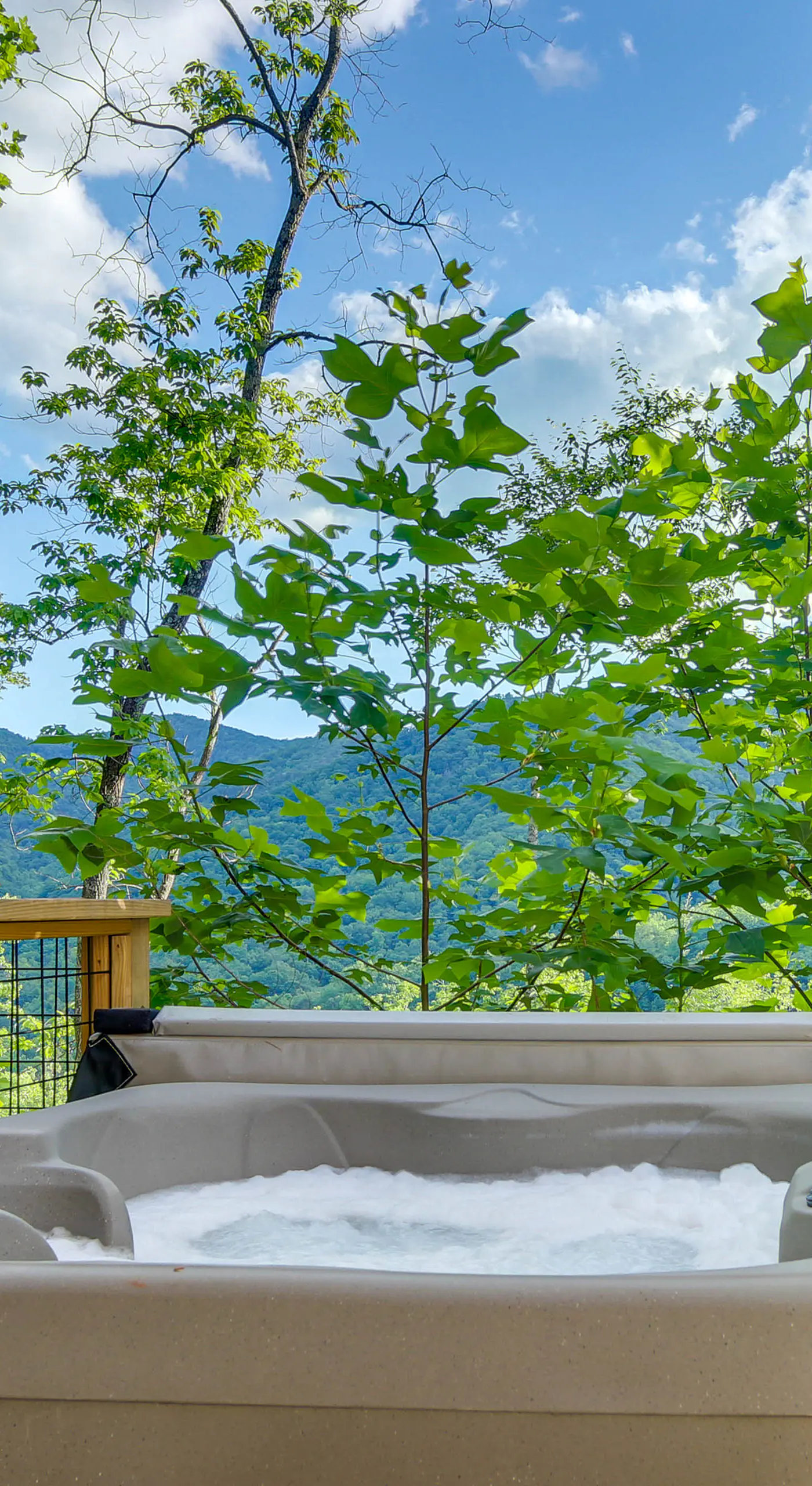 Panoramic Mtn Views & Hot Tub! Secluded Marion Gem
