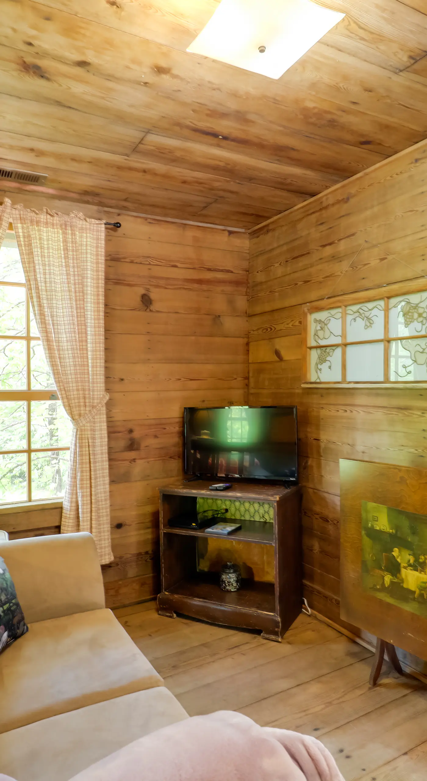 Hot Tub Haven! Blue Ridge Mountain Gem on 92 Acres