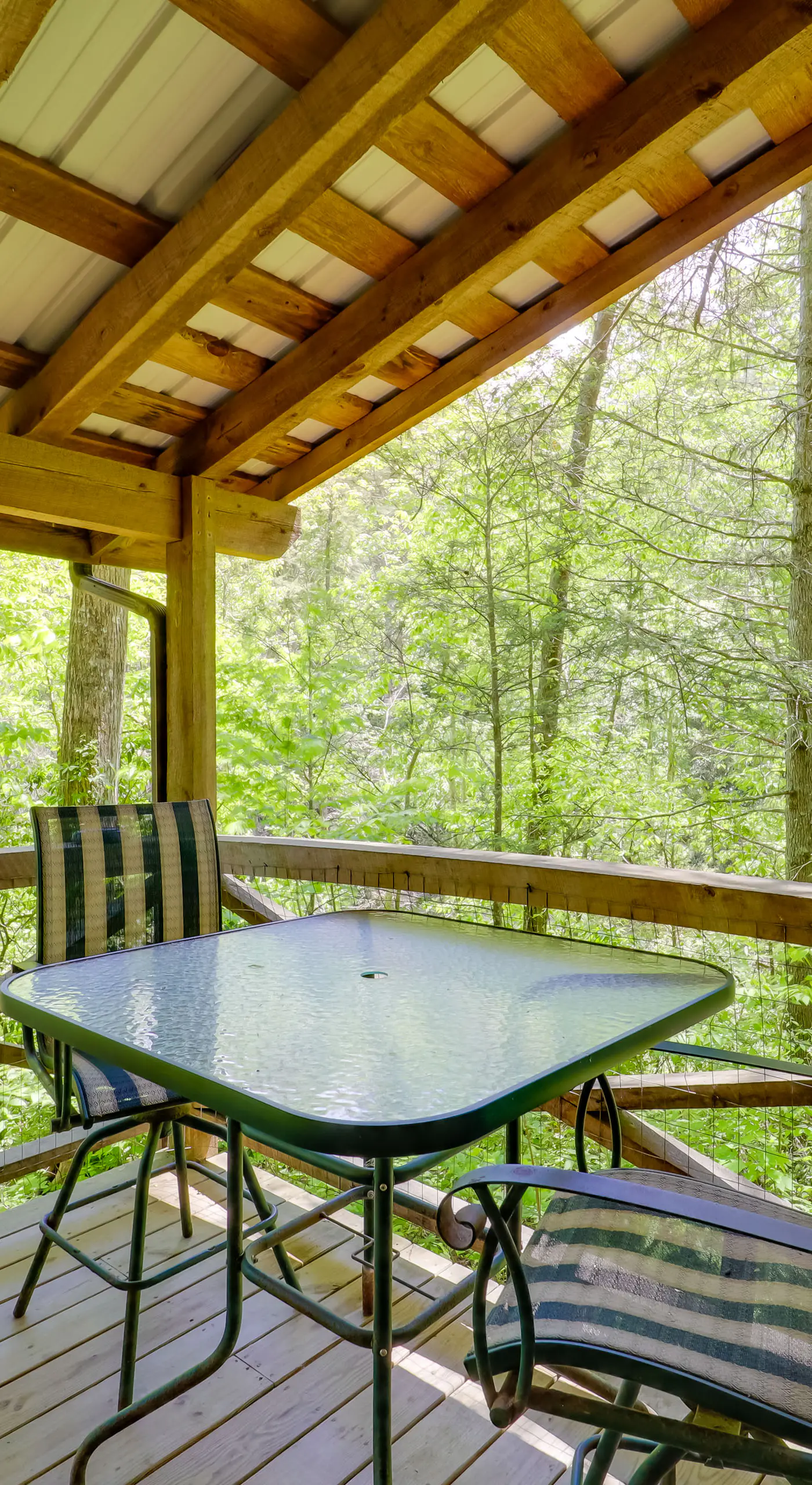 Winter Hiking + Hot Tub Soaks! Marion Mtn Cabin