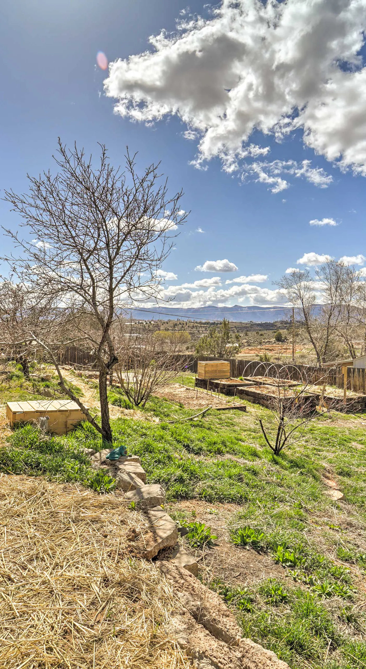 Eco-Friendly Escape in Cortez - Pets Welcome!
