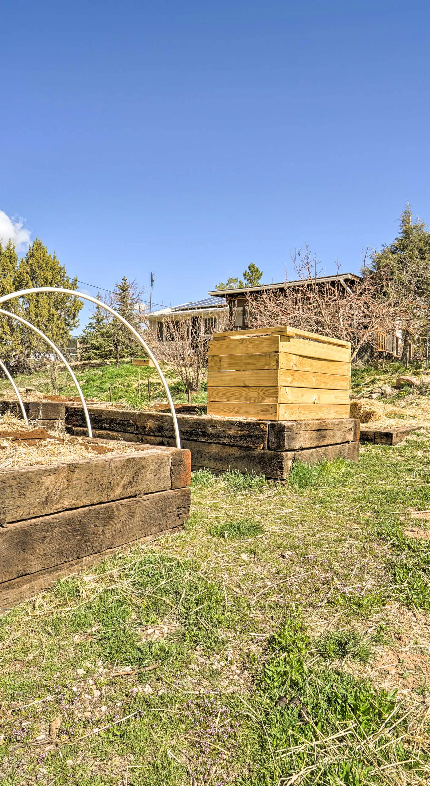 Eco-Friendly Escape in Cortez - Pets Welcome!