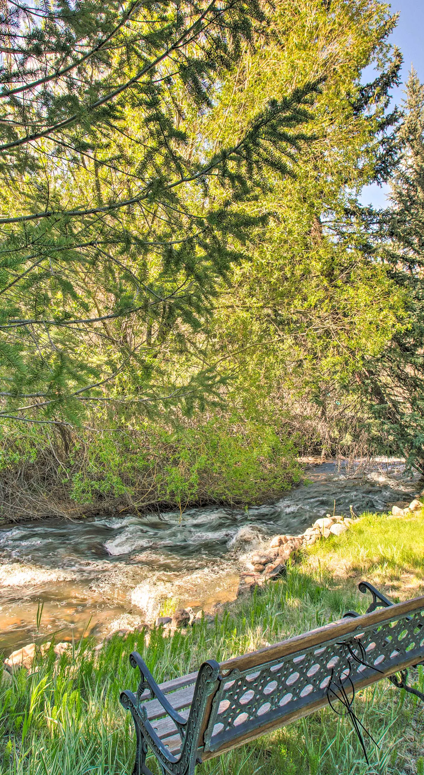 ‘Chicago Creek B & B‘: 1 Mi to Mt Blue Sky!