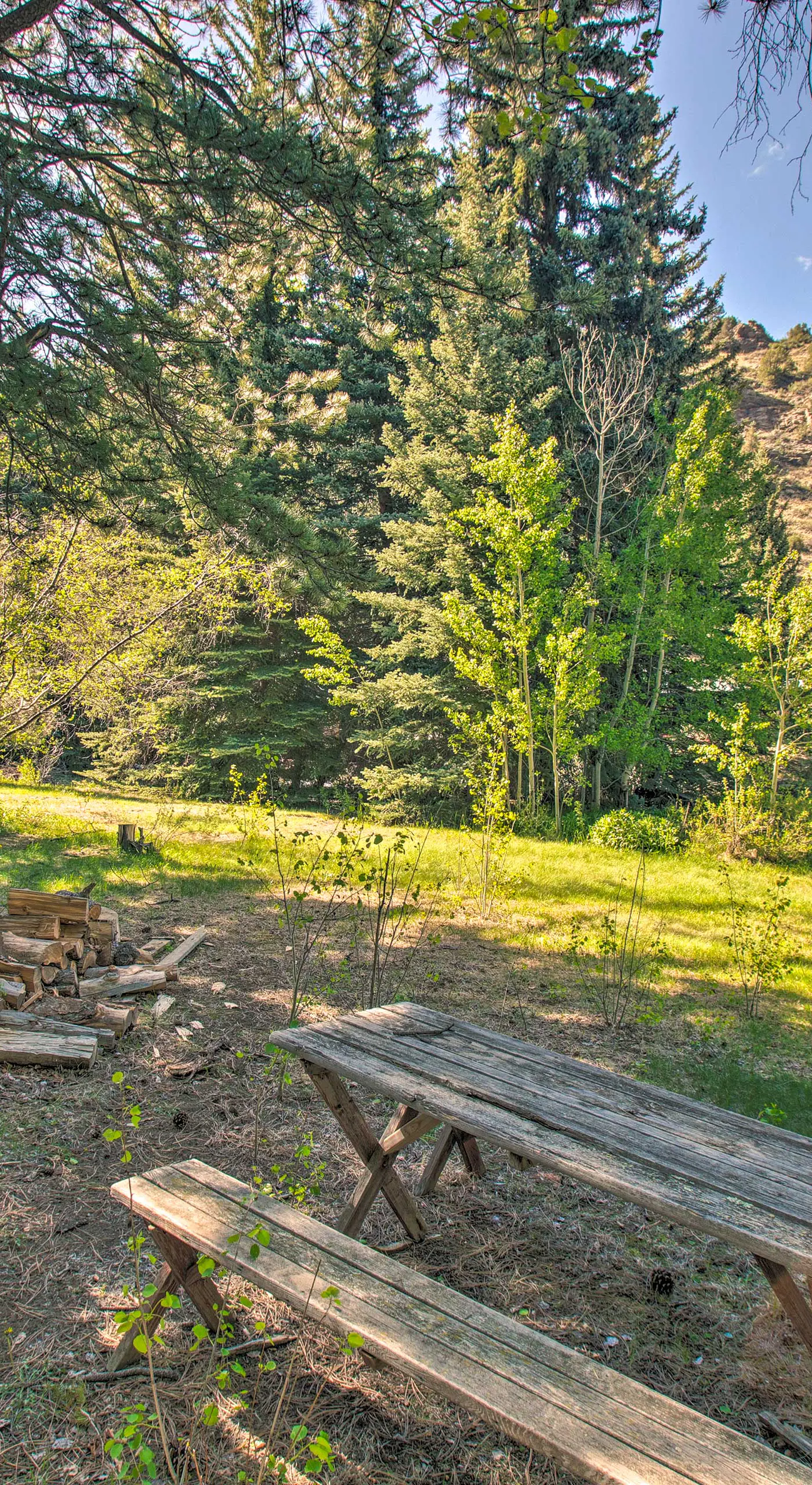 ‘Chicago Creek B & B‘: 1 Mi to Mt Blue Sky!