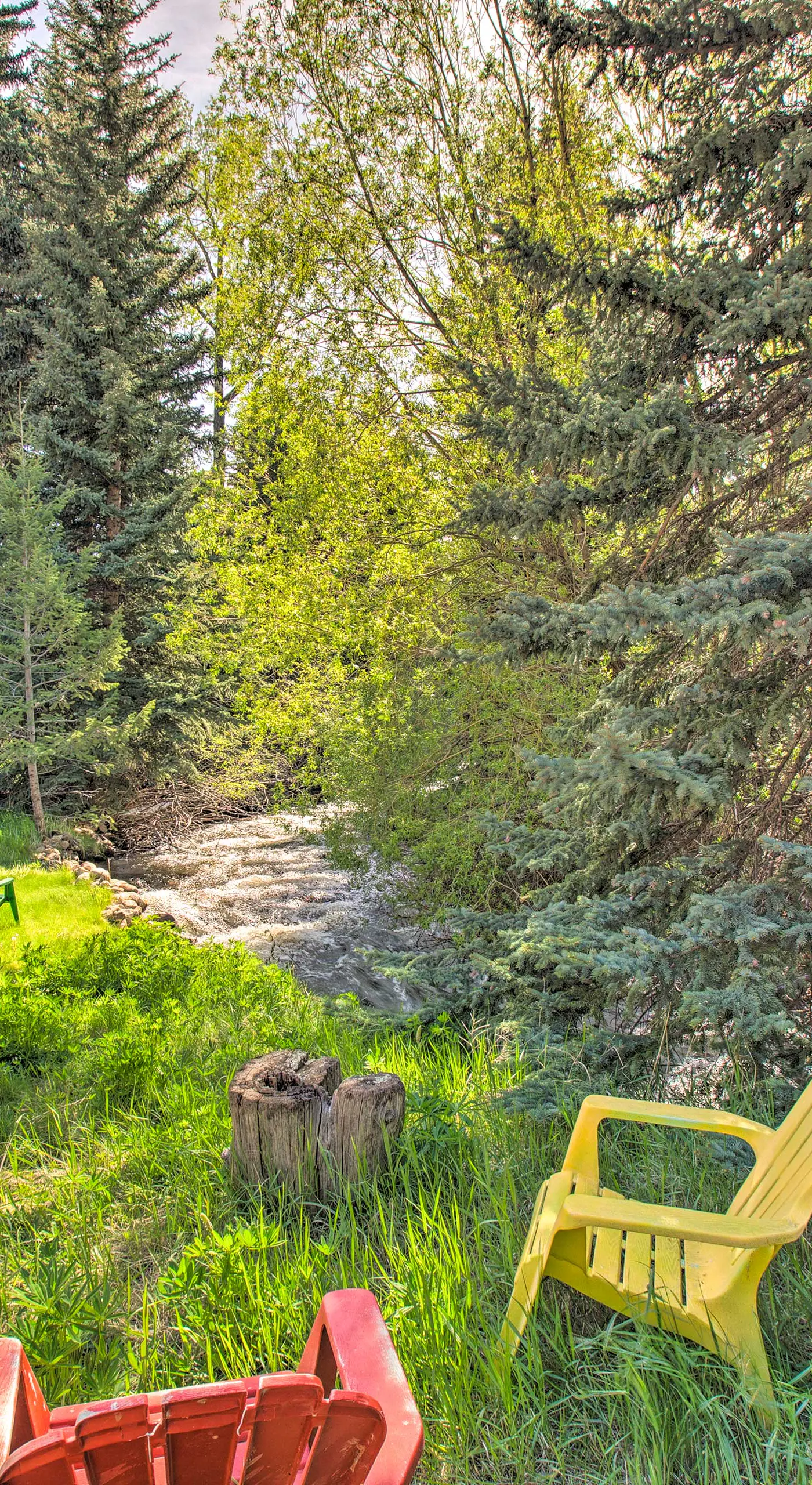 ‘Chicago Creek B & B‘: 1 Mi to Mt Blue Sky!