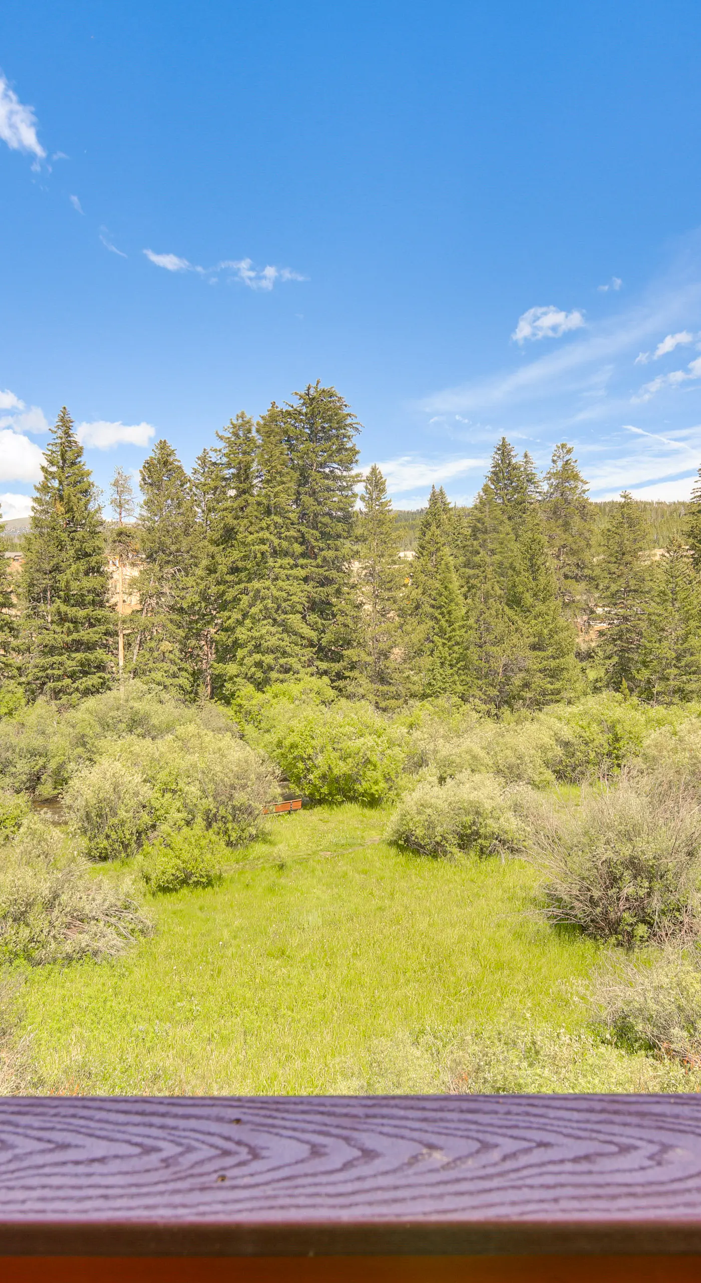 Hike, Bike, Ski: Winter Park Condo w/ Deck