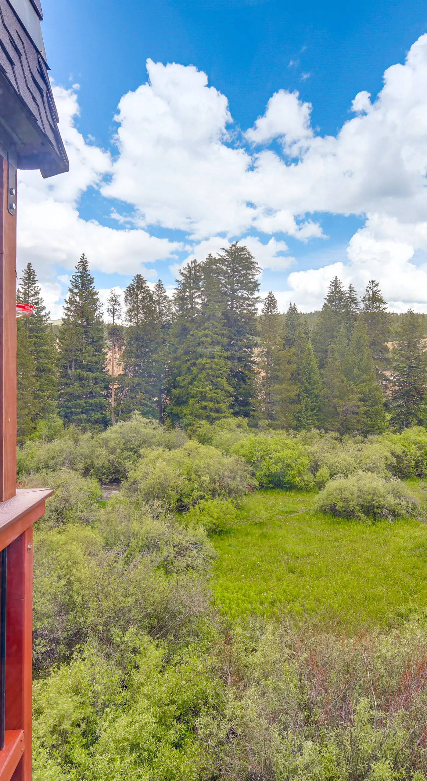 Hike, Bike, Ski: Winter Park Condo w/ Deck
