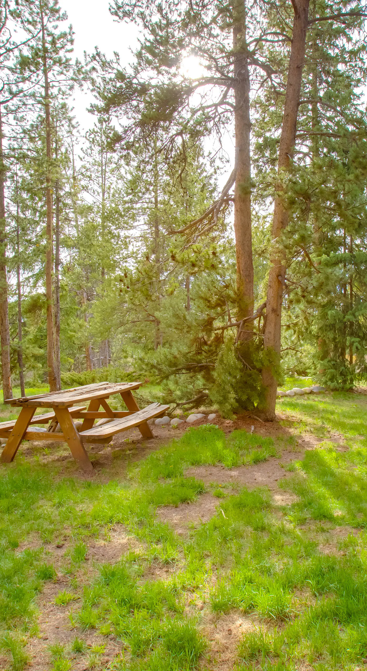 Hike, Bike, Ski: Winter Park Condo w/ Deck