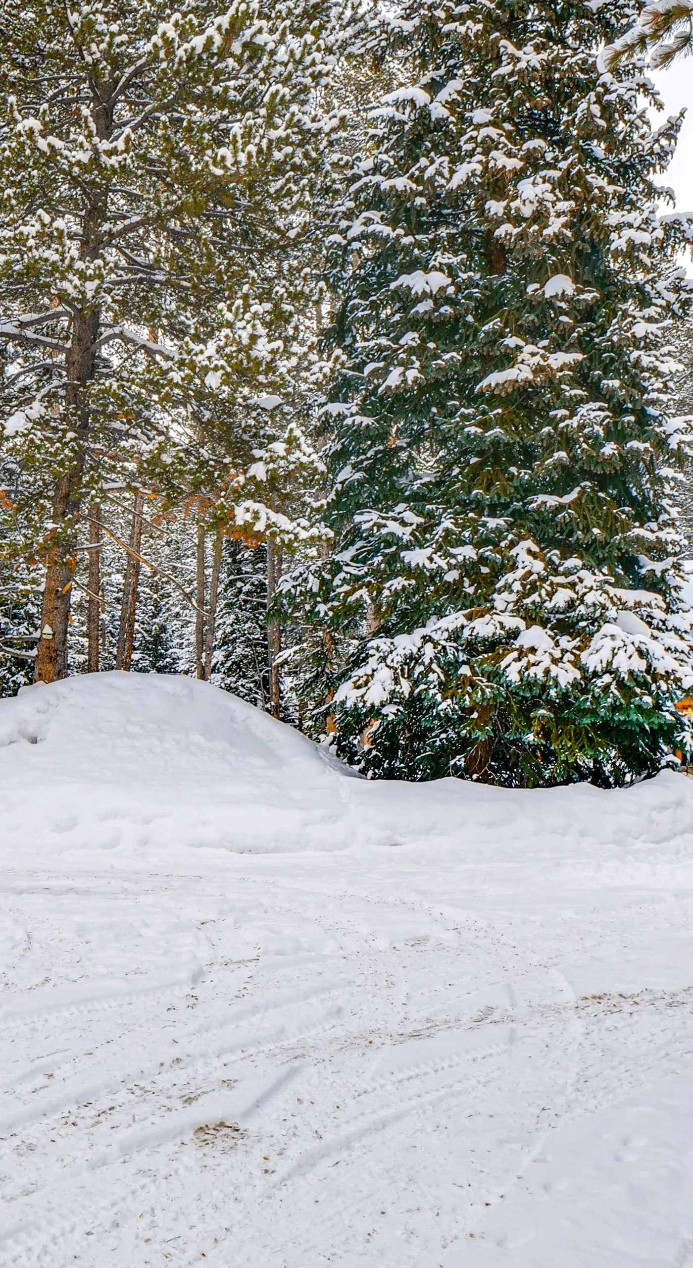 5 Mi to Breckenridge Ski Resort: Cozy Wood Cabin!