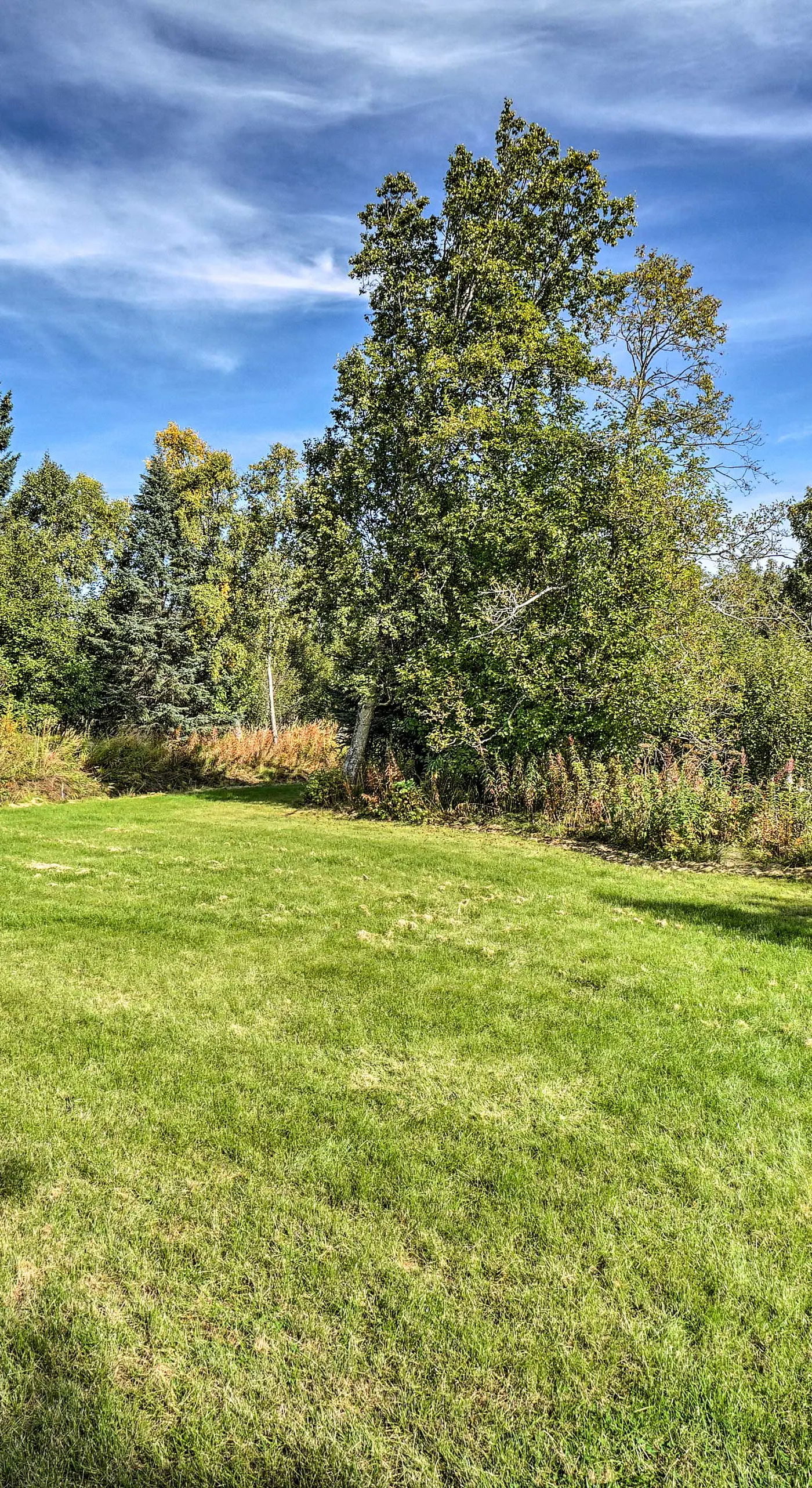 Pet-Friendly Duplex w/ Northern Lights Aurora View