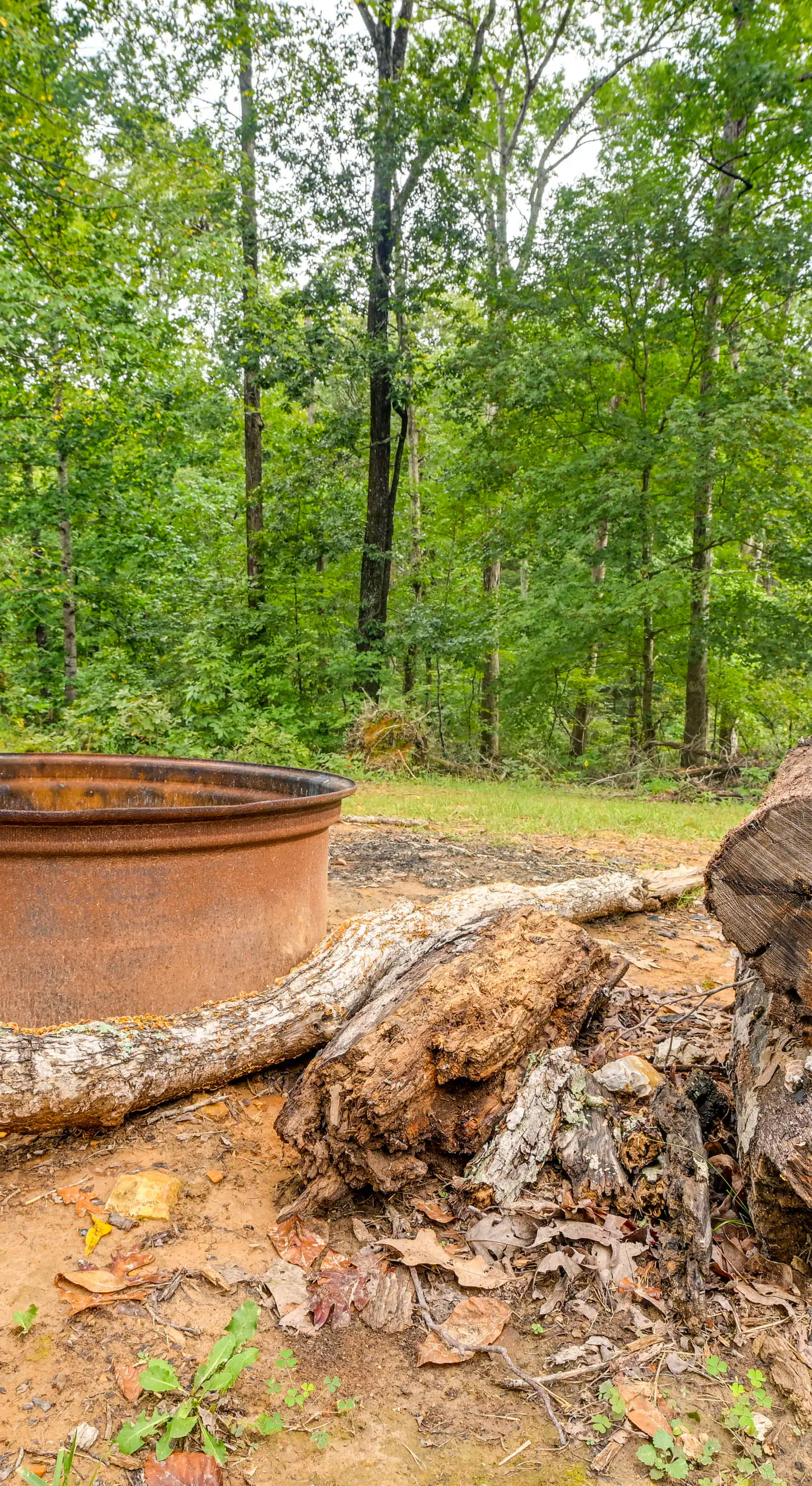 Pet-Friendly Murray Vacation Rental w/ Grill!