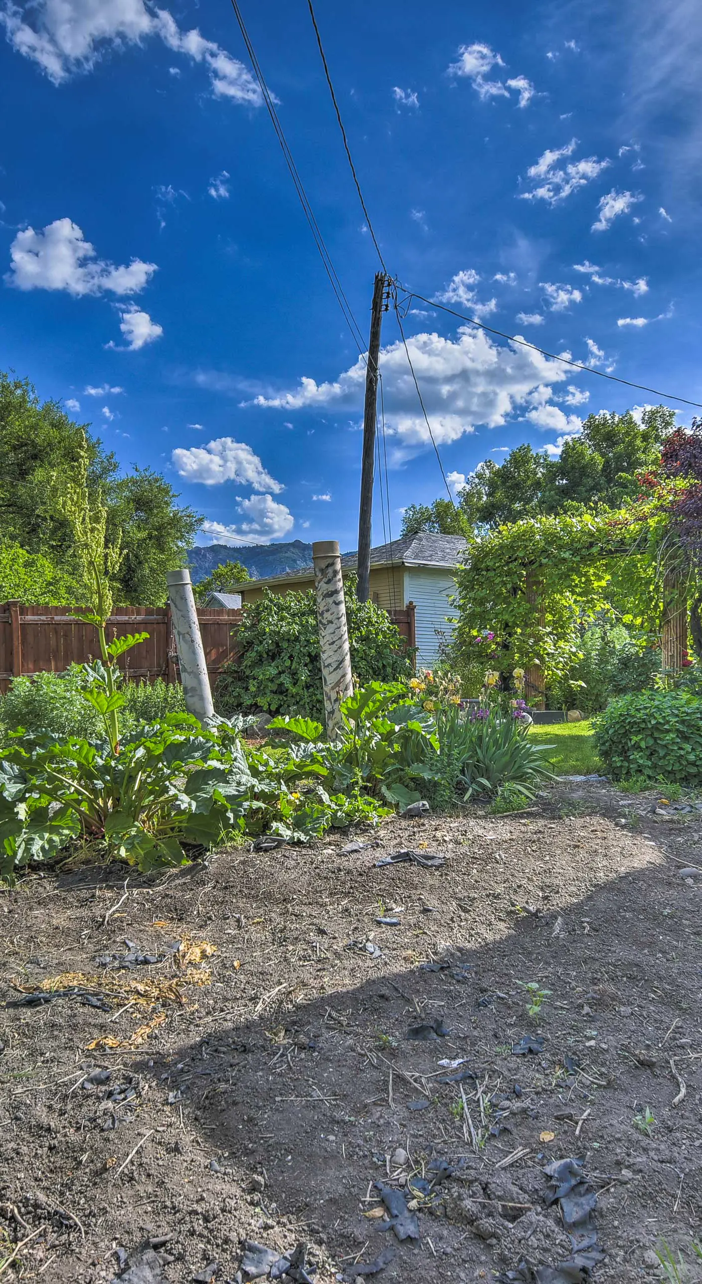 Charming Historic Ogden Home w/ Private Backyard!