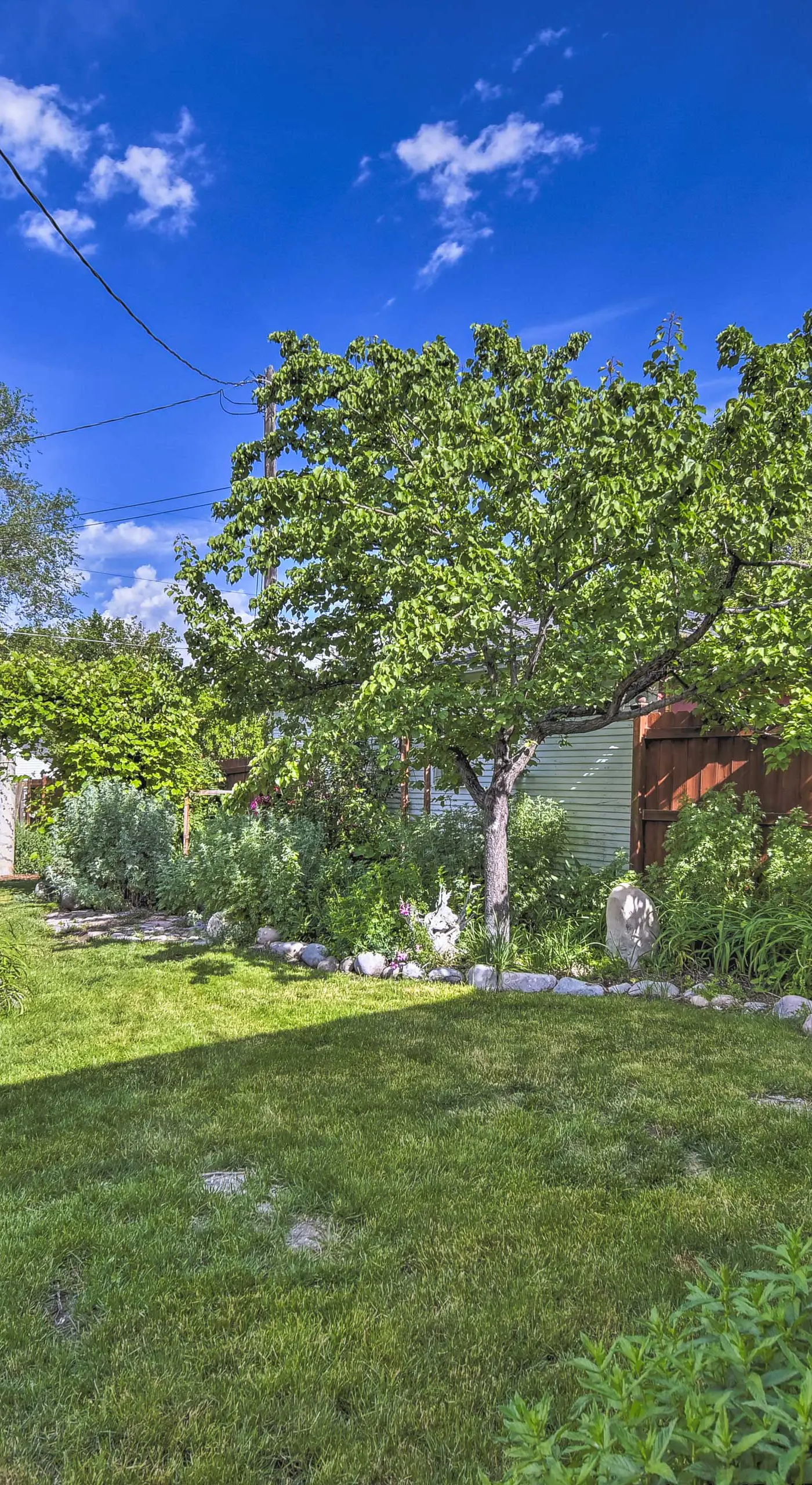Charming Historic Ogden Home w/ Private Backyard!