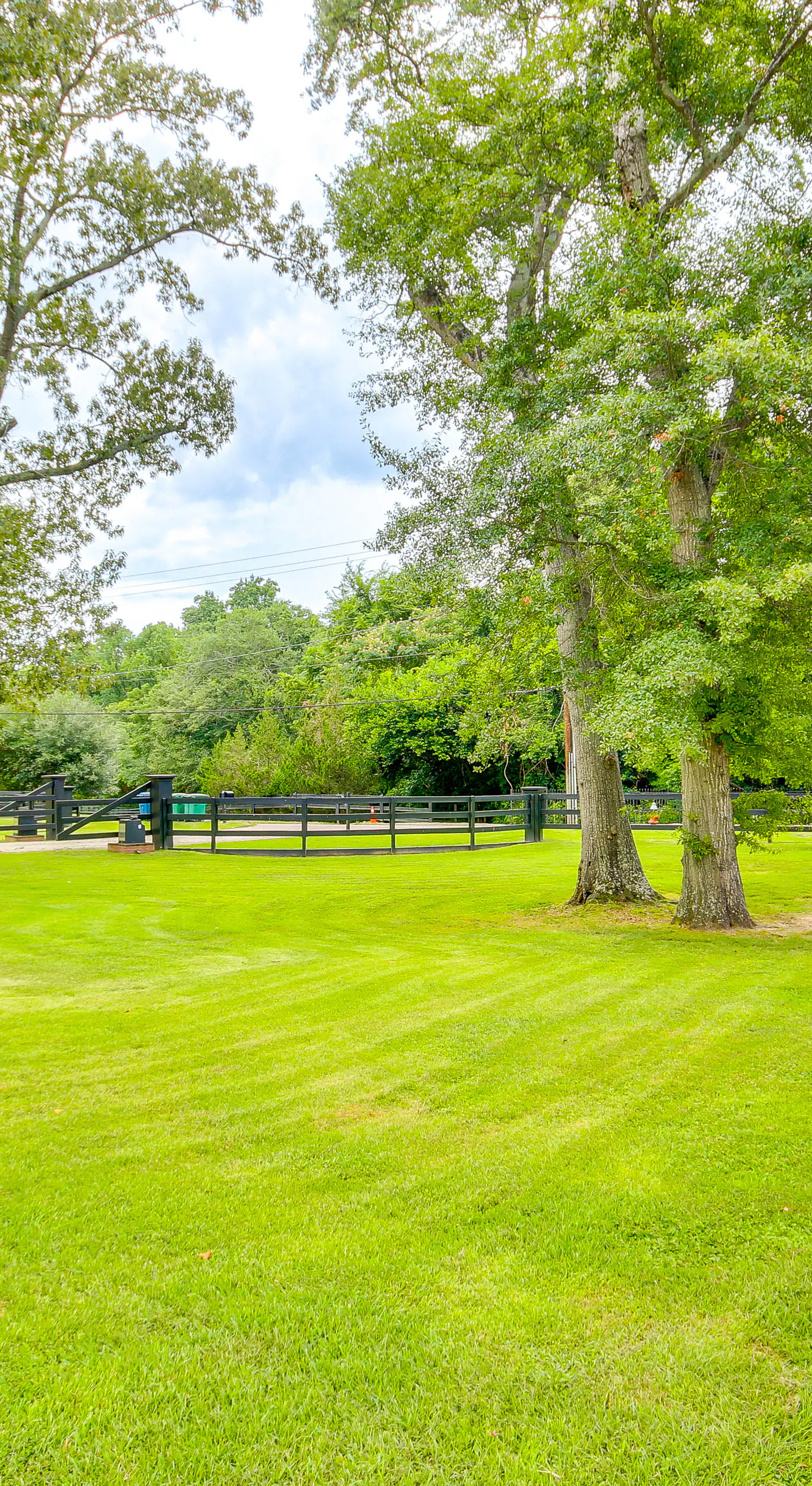 2 Mi to Aiken Horse Park: South Carolina Apt