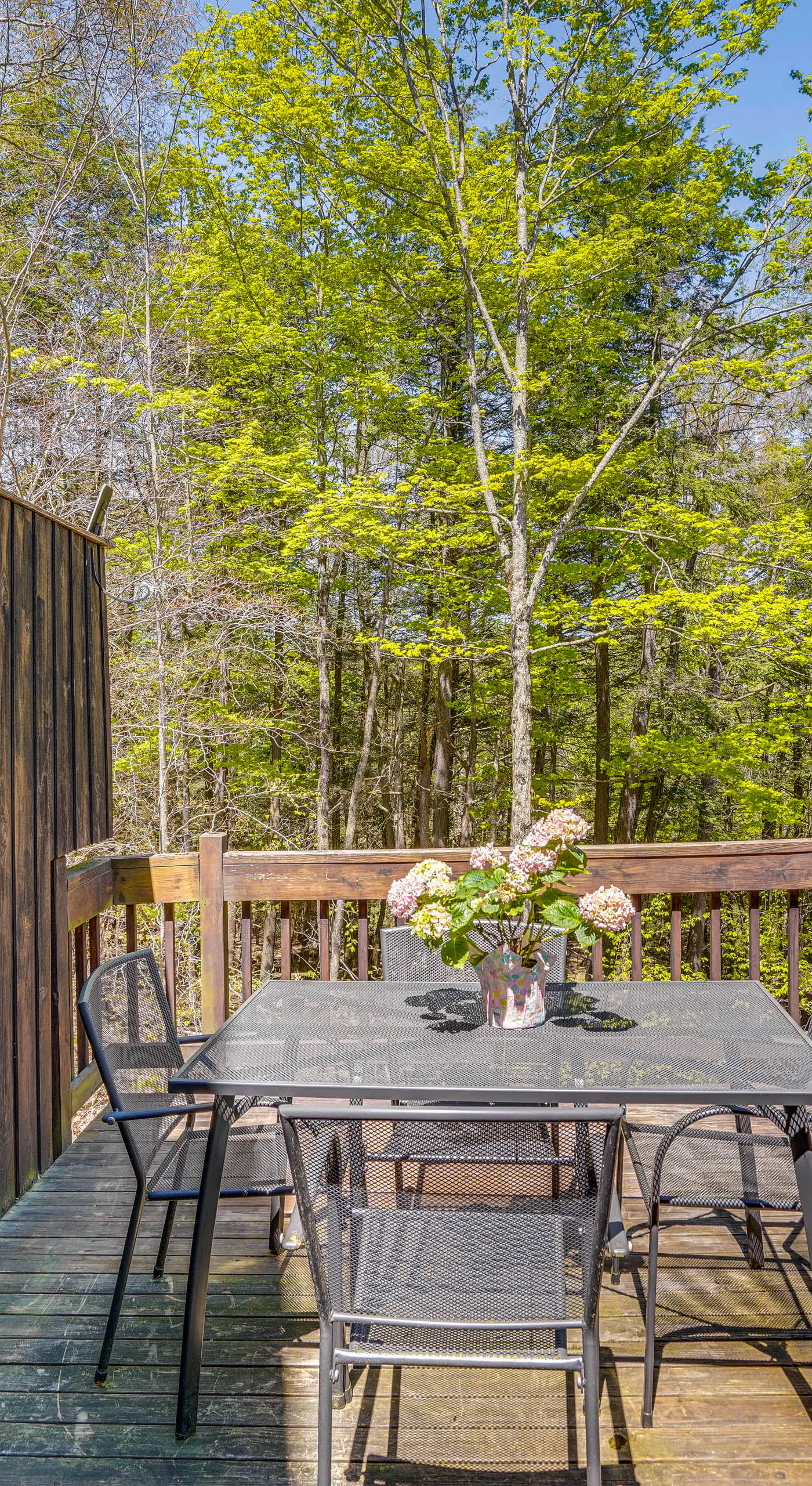 Ski, Hike & More: Year-Round Gem in Windham