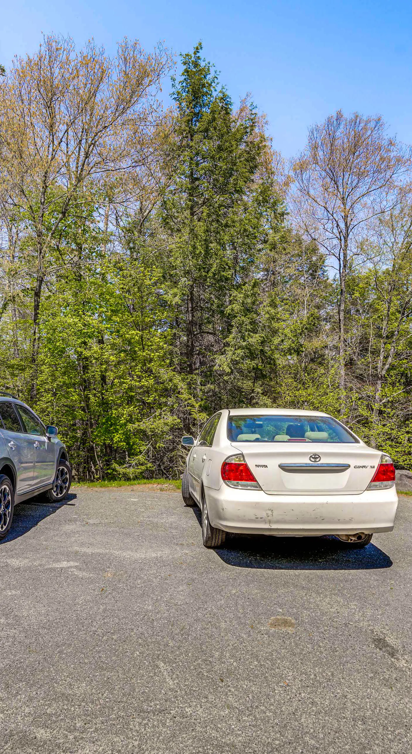 Ski, Hike & More: Year-Round Gem in Windham