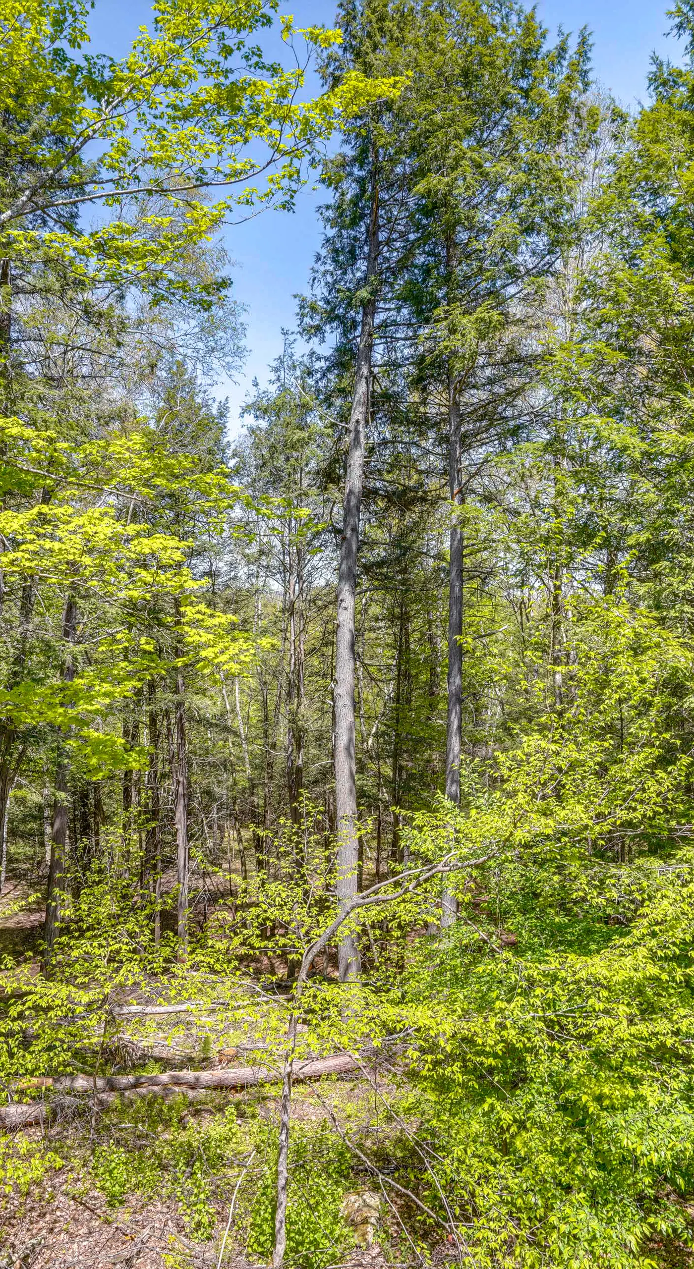 Ski, Hike & More: Year-Round Gem in Windham
