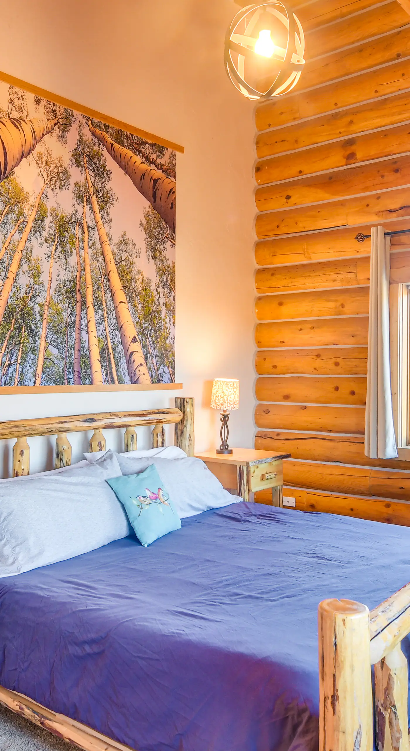 5 Acres of Scenic Beauty! Large Fairplay Log Home