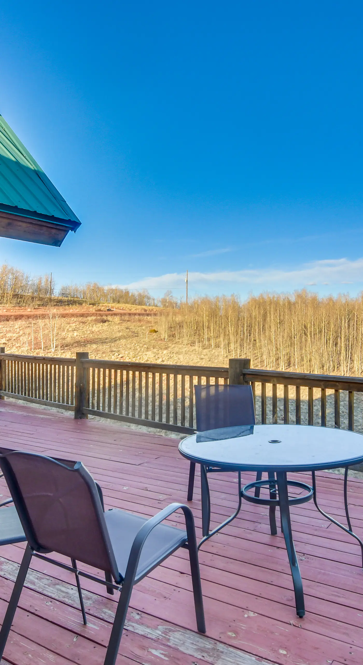 5 Acres of Scenic Beauty! Large Fairplay Log Home