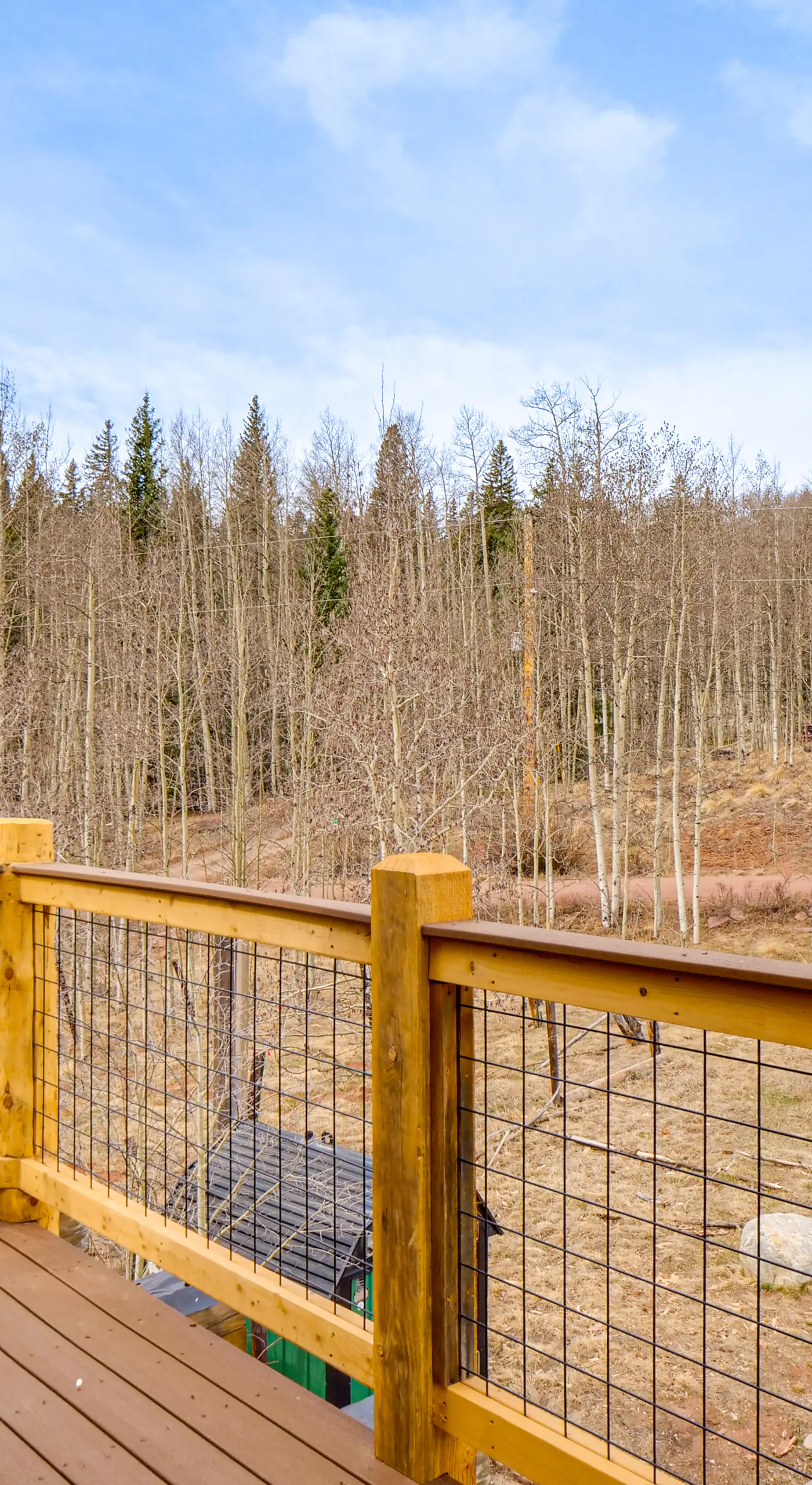 5 Acres of Scenic Beauty! Large Fairplay Log Home