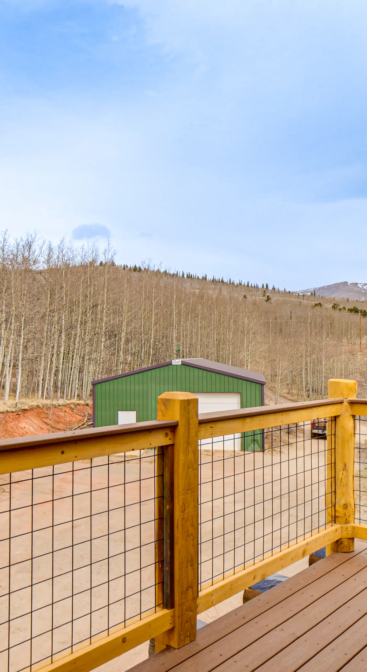 5 Acres of Scenic Beauty! Large Fairplay Log Home