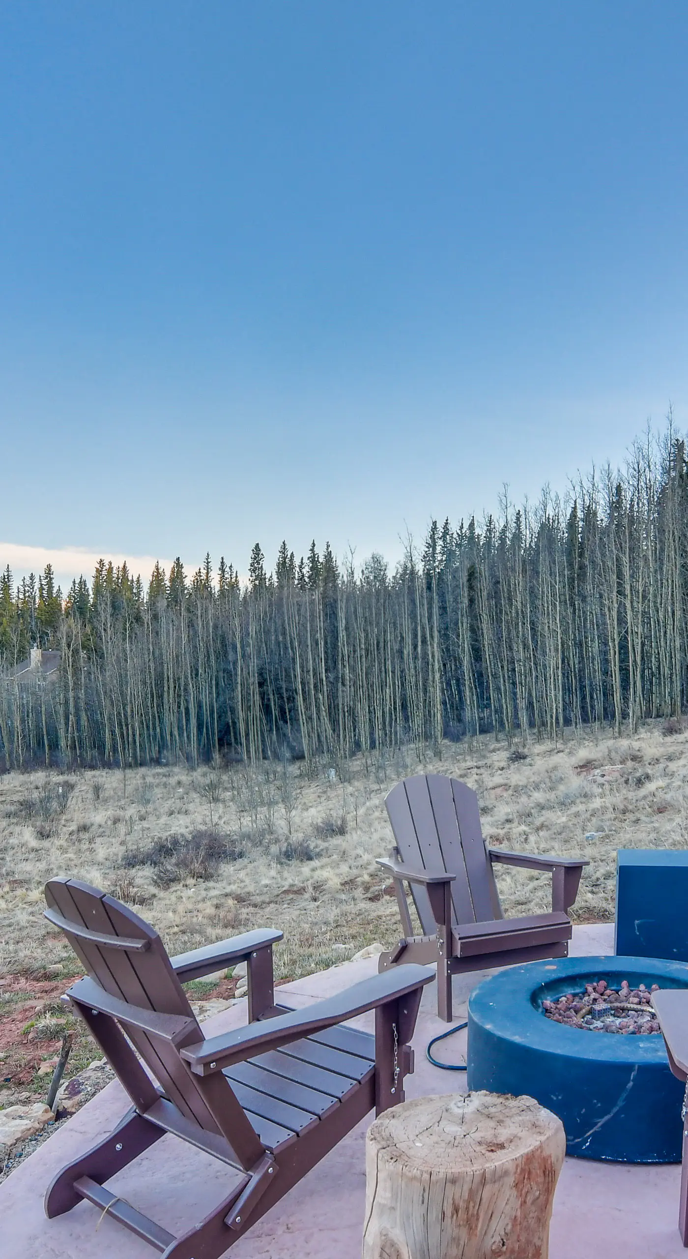 5 Acres of Scenic Beauty! Large Fairplay Log Home