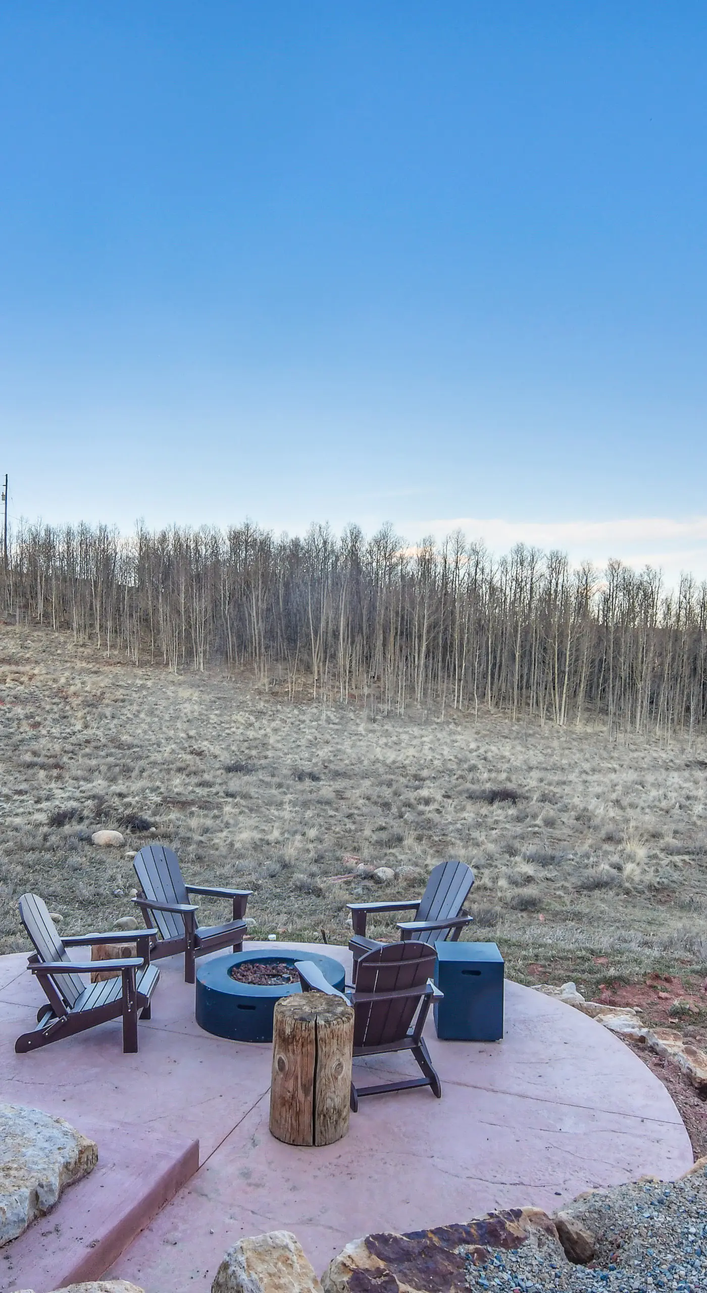 5 Acres of Scenic Beauty! Large Fairplay Log Home