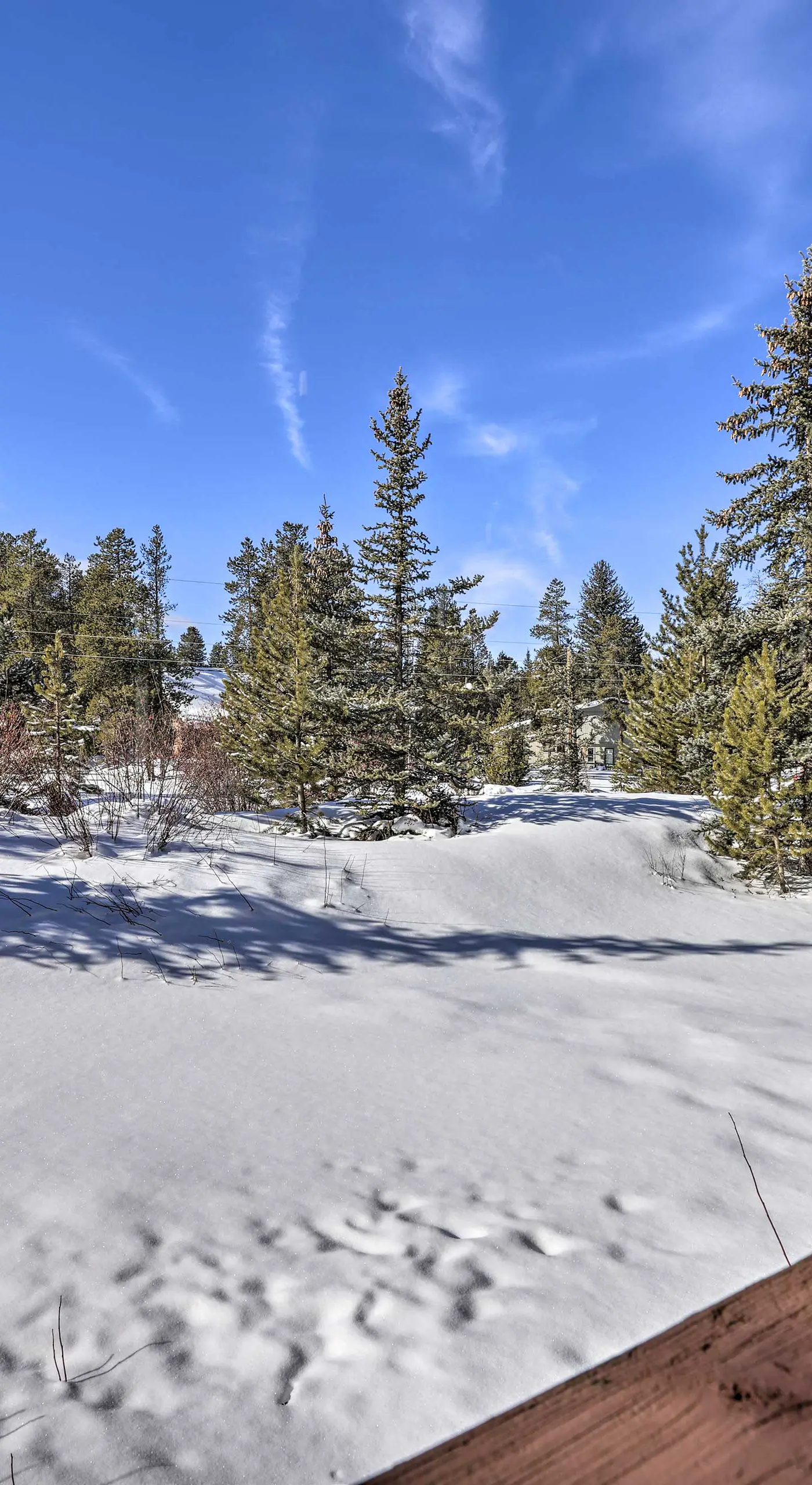 Pet-Friendly Fraser Condo w/ Community Hot Tub
