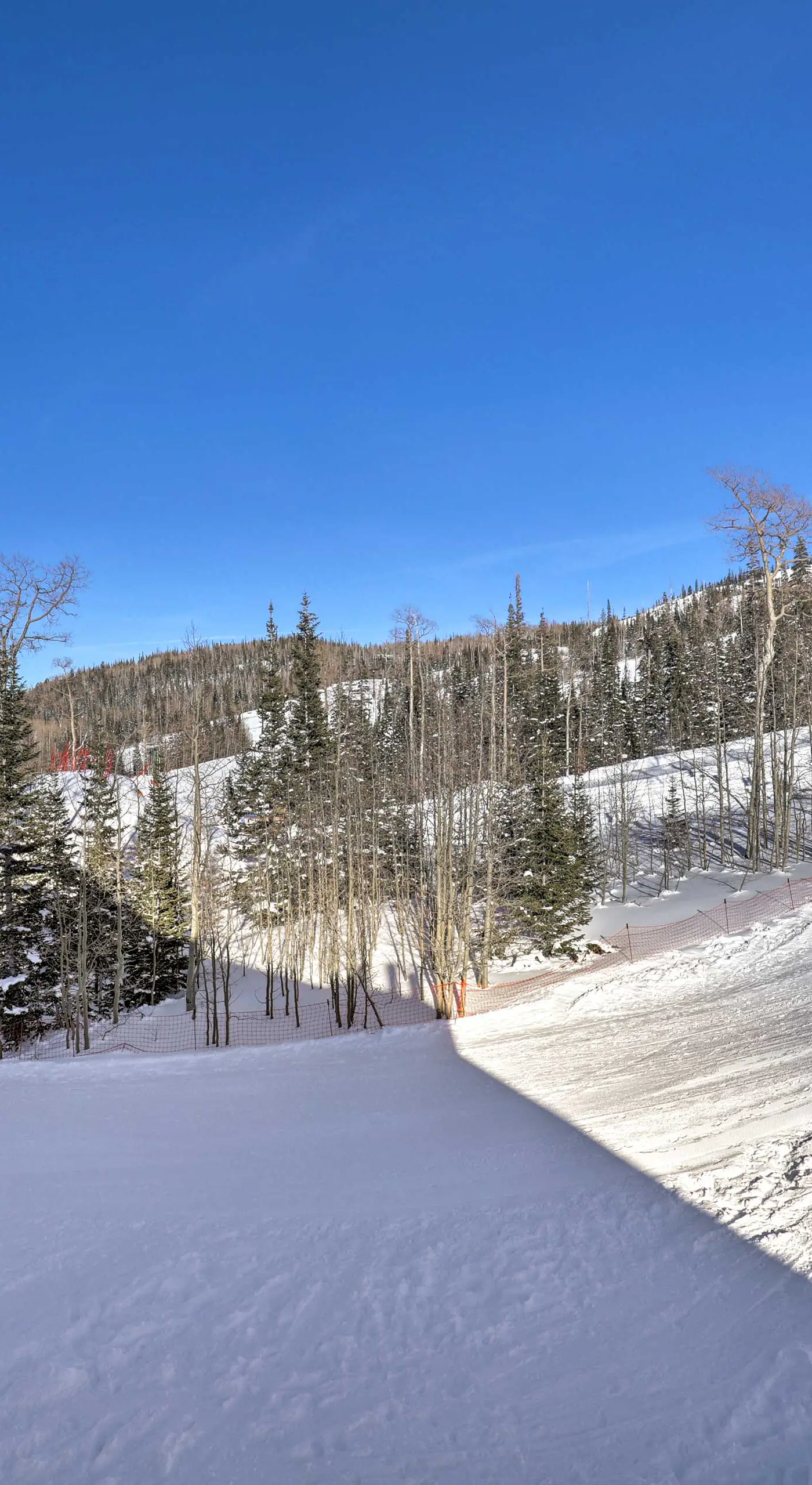 Slopeside Condo with Hot Tub + Game Room Access!