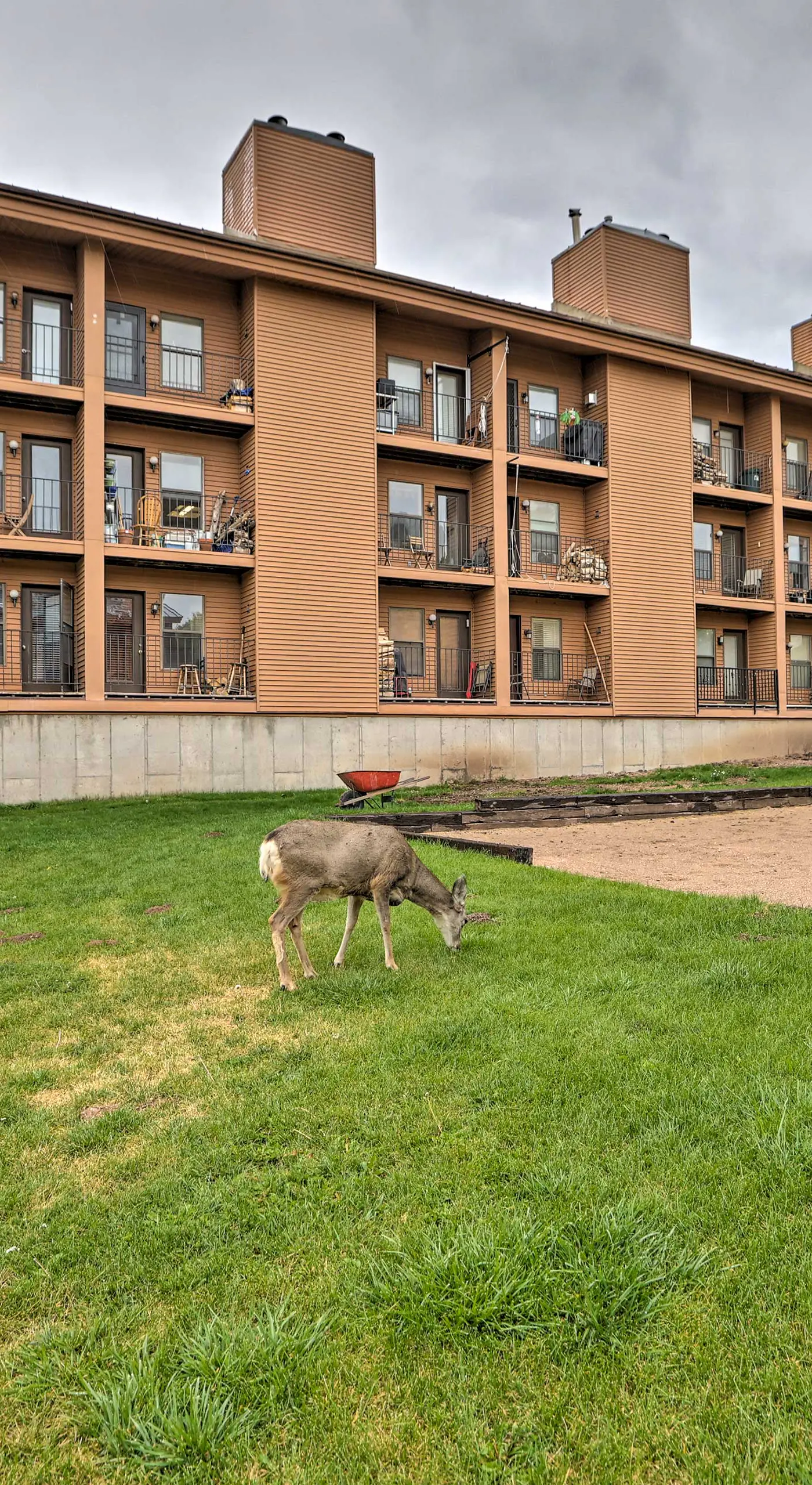 Walk to Brian Head Resort: Cozy Studio w/ Balcony