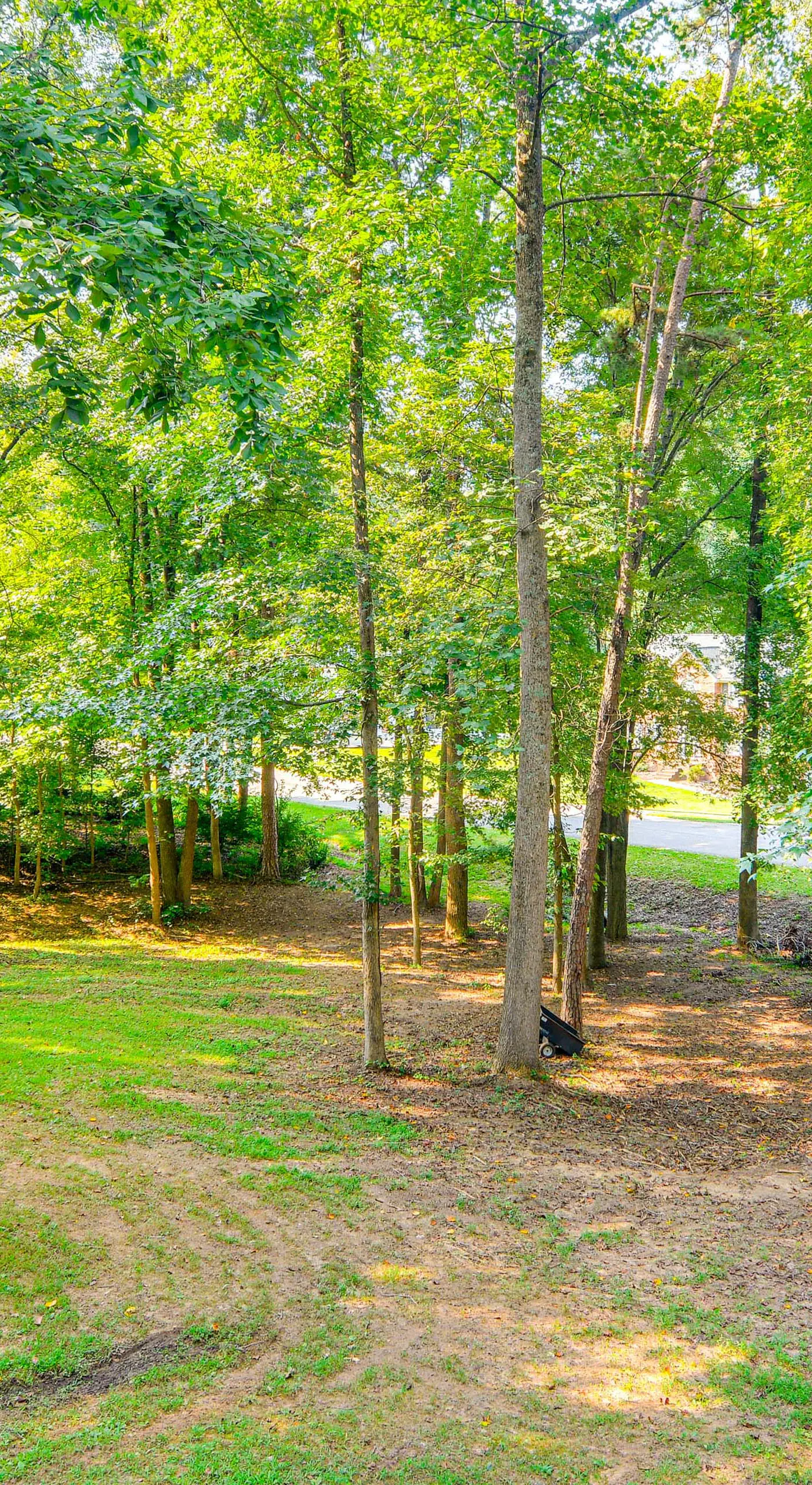 Private Yard & Deck: High Point Home Base!