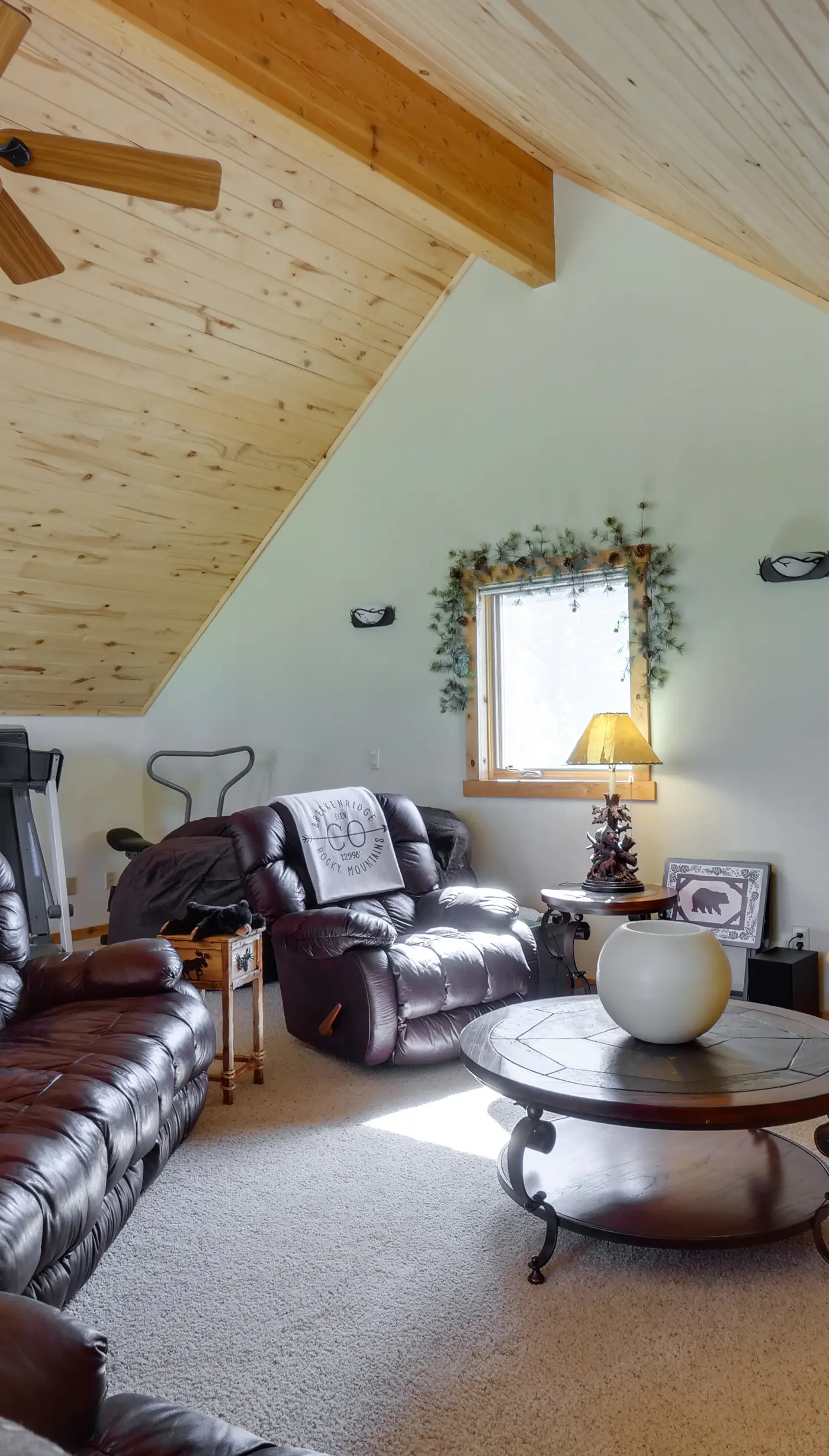 Alma Mountain Getaway w/ Private Hot Tub & Views