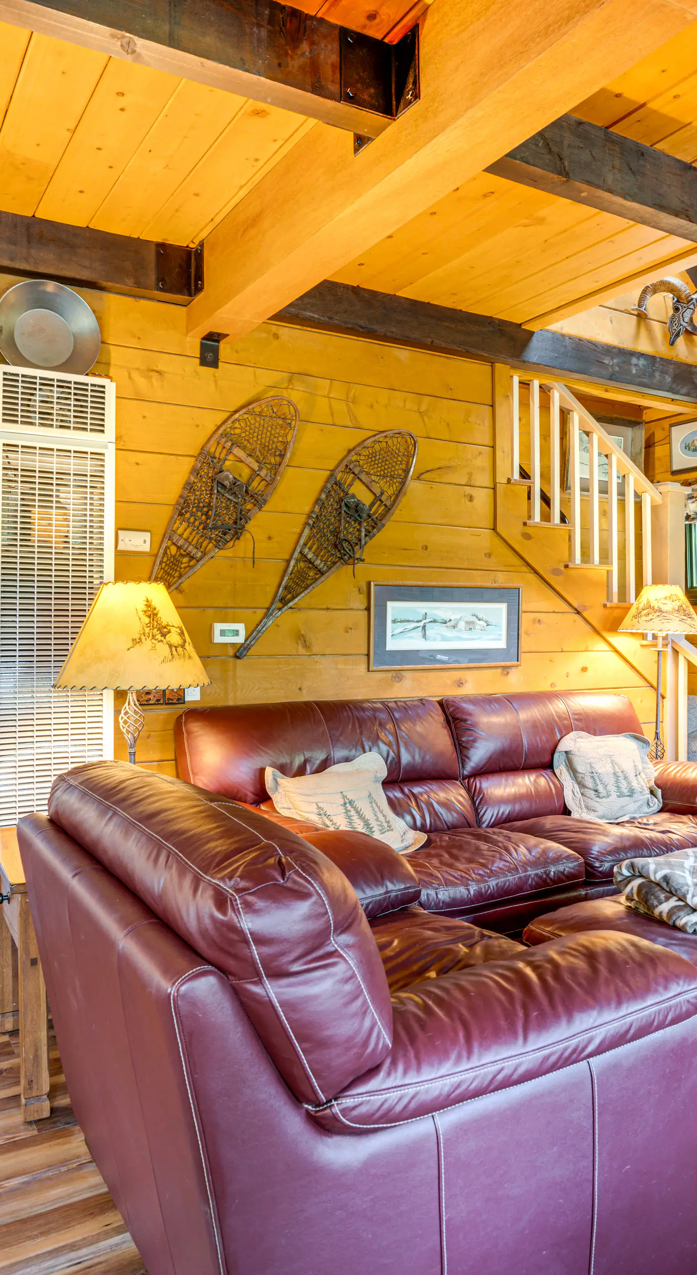 24STR-00023 Fairplay Cabin w/ Hot Tub on 4 Acres!
