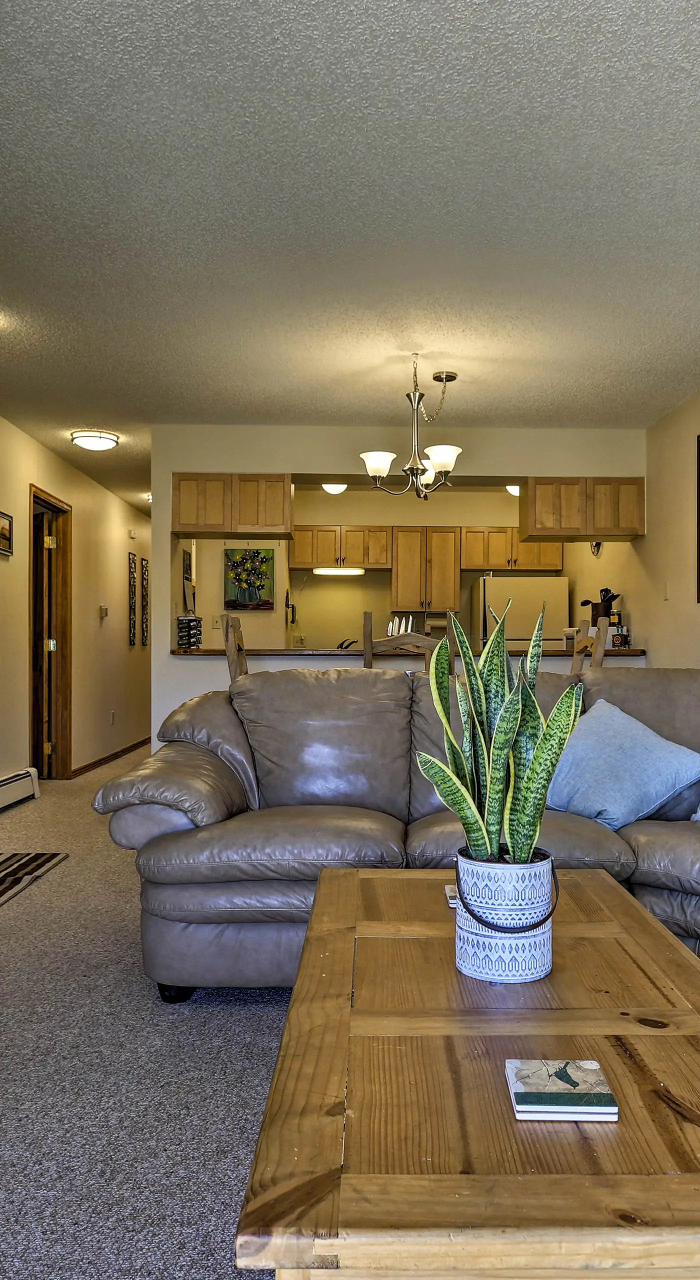 Eat, Sleep, Ski! Rustic Mtn Condo: WiFi,TV, HotTub