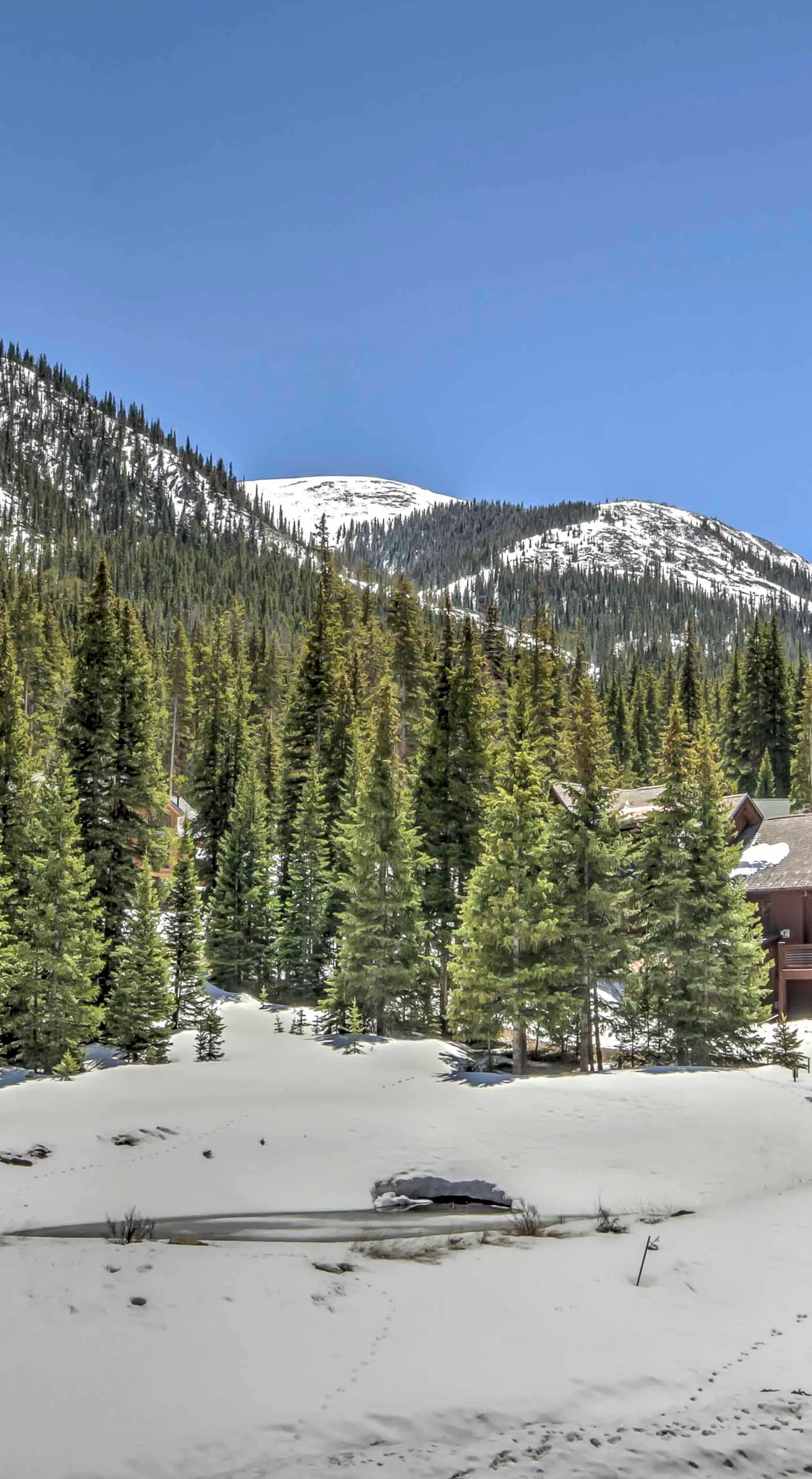 Blue River Condo w/ Views - 5 Mi to Breckenridge!