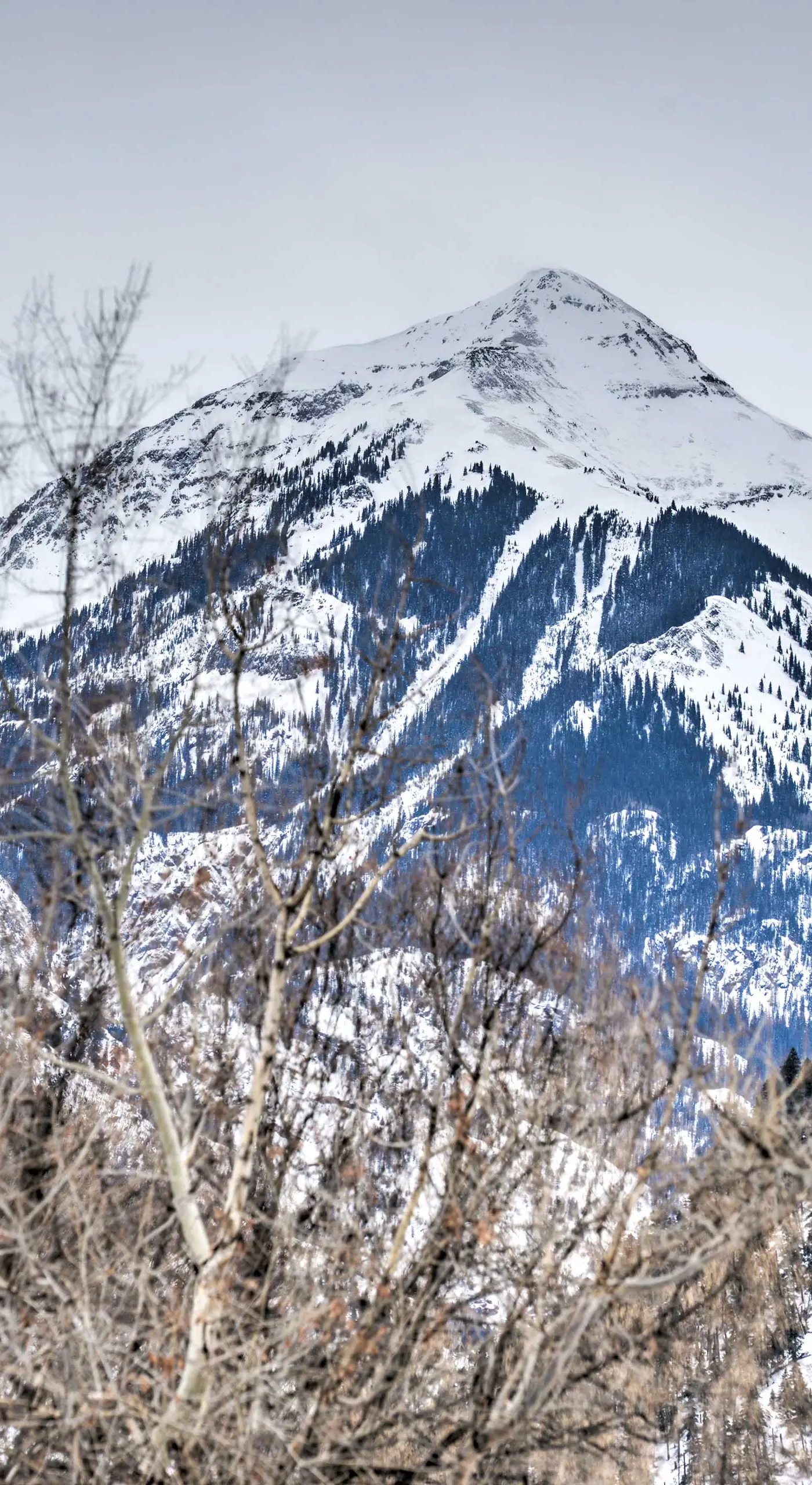 Cozy Home w/ Mountain Views Near Ouray Hot Springs